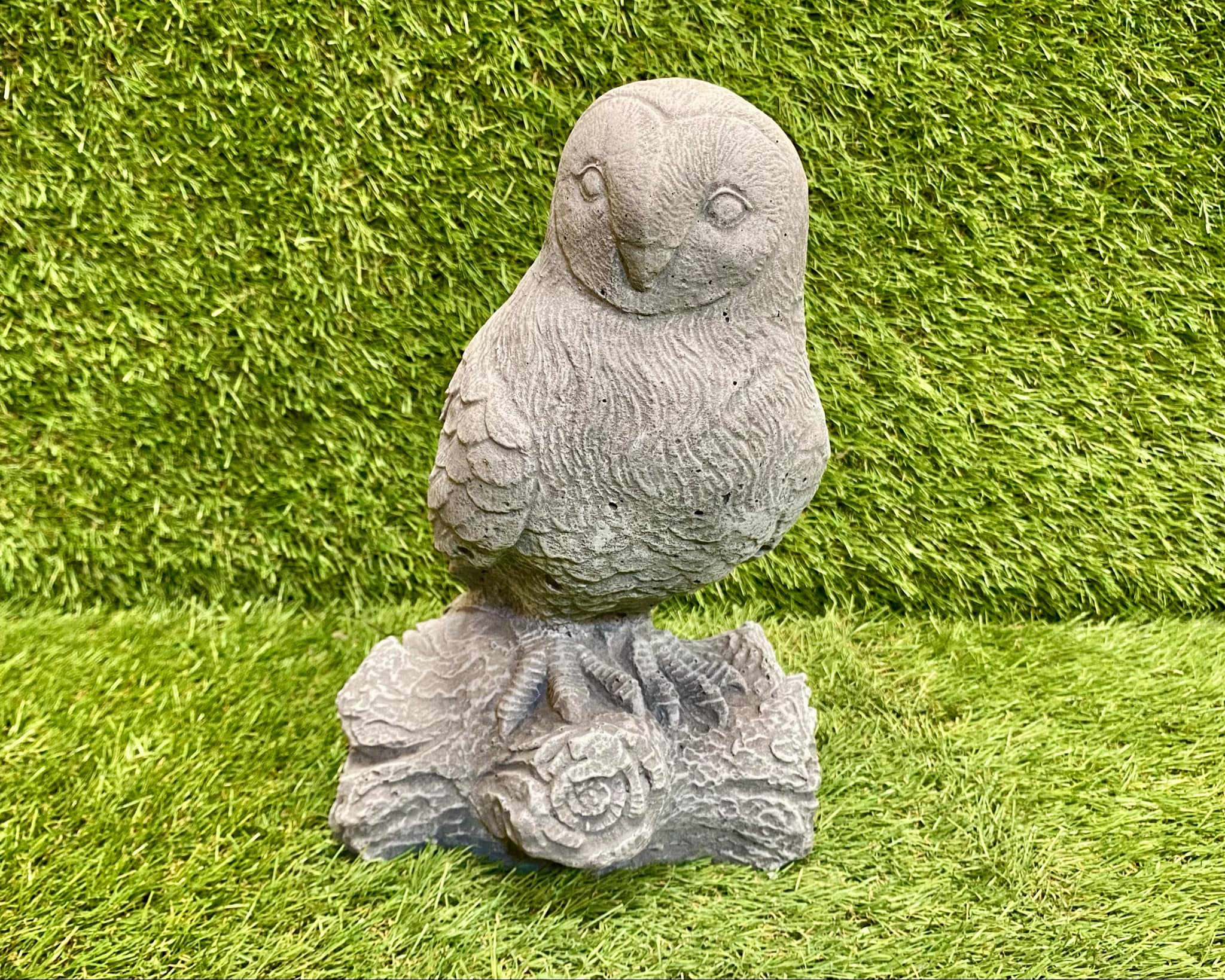Owl On Log