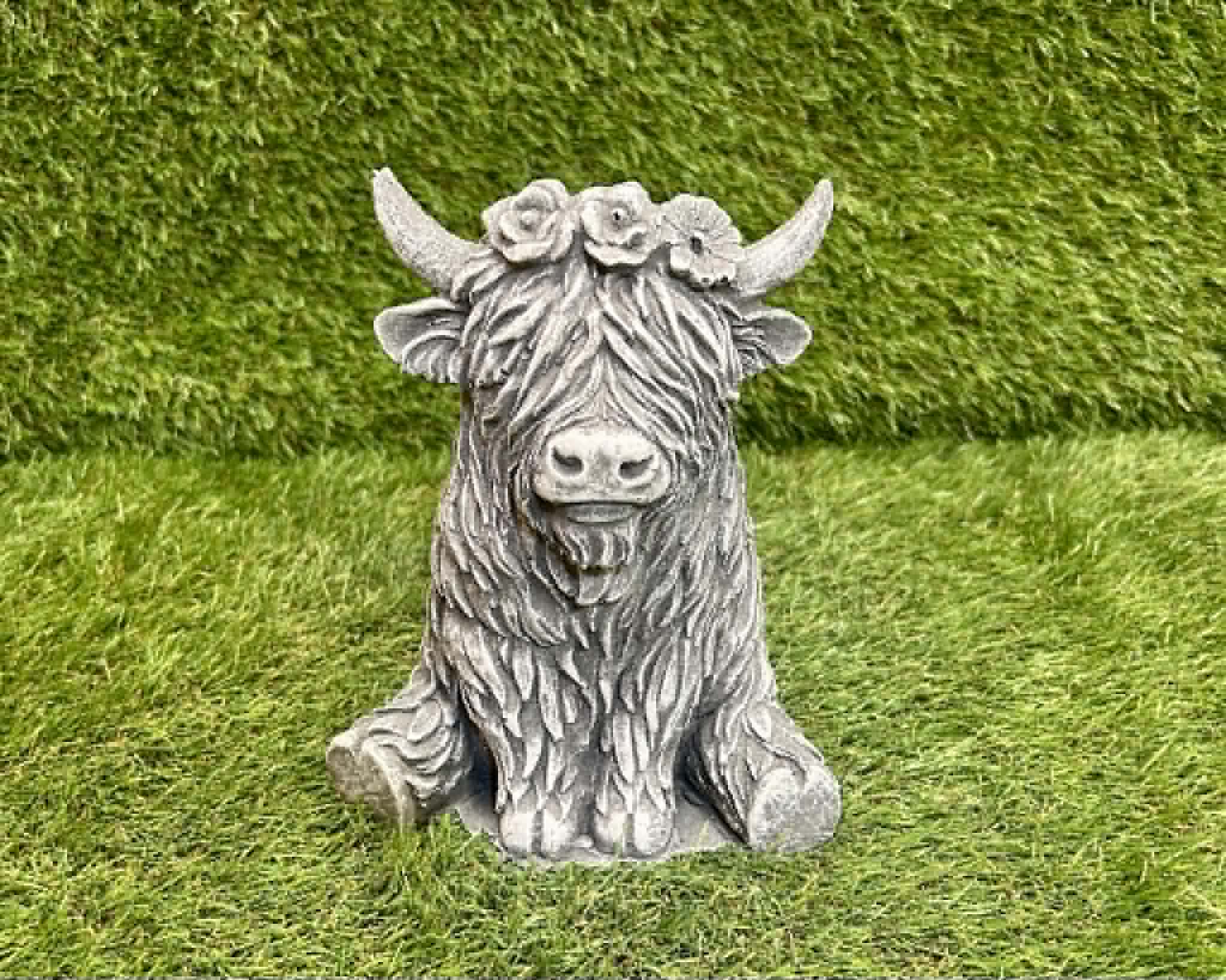 Small Highland Cow