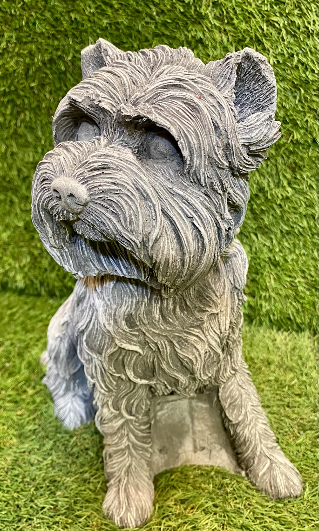 Large Westie Dog