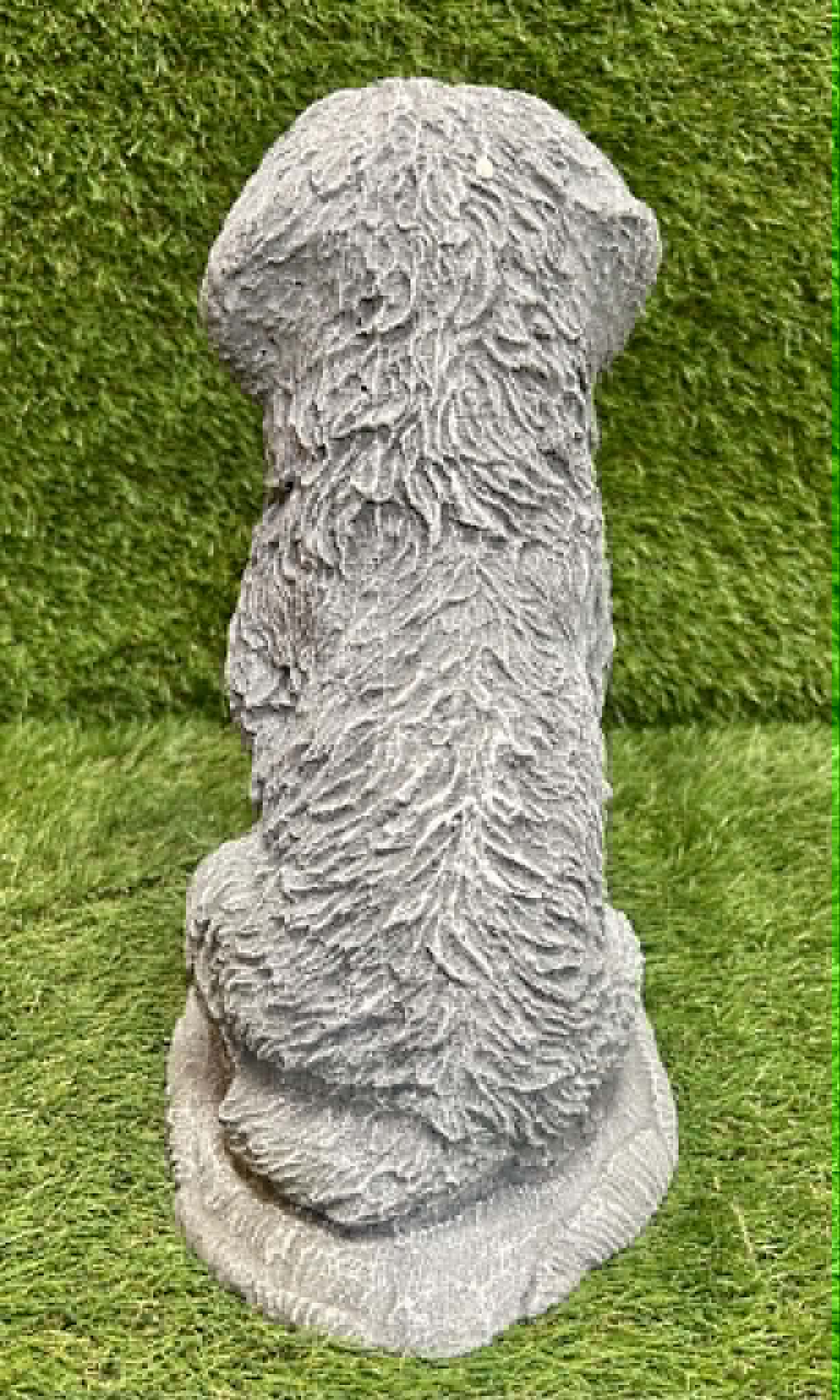 Cockapoo