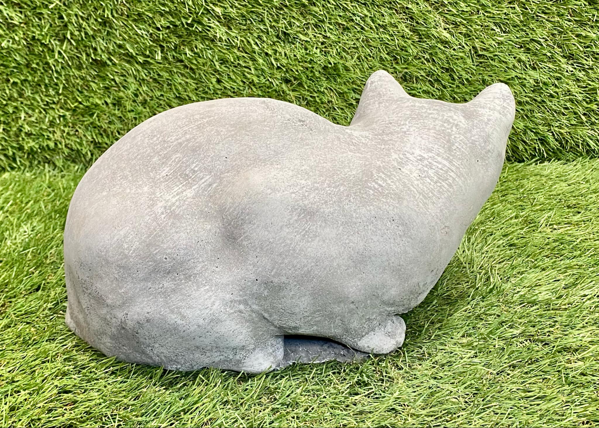 Sitting Cat