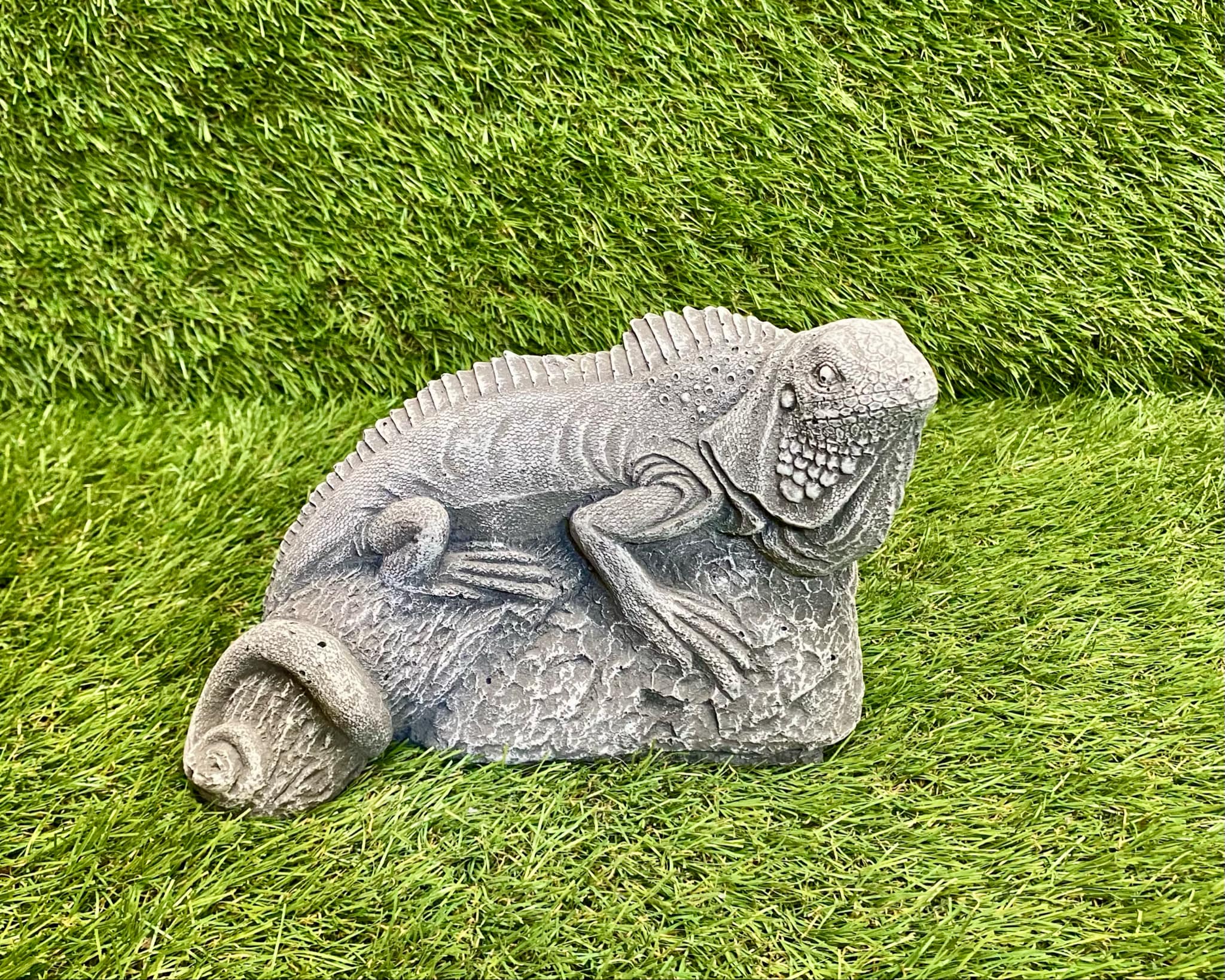 Iguana