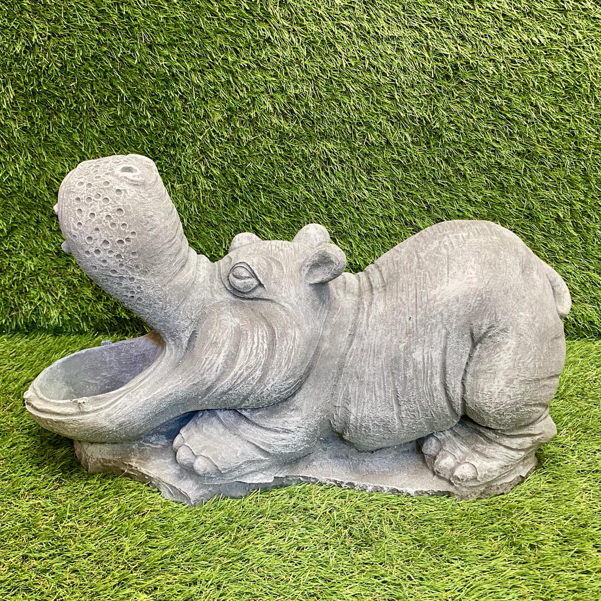Large Hippo