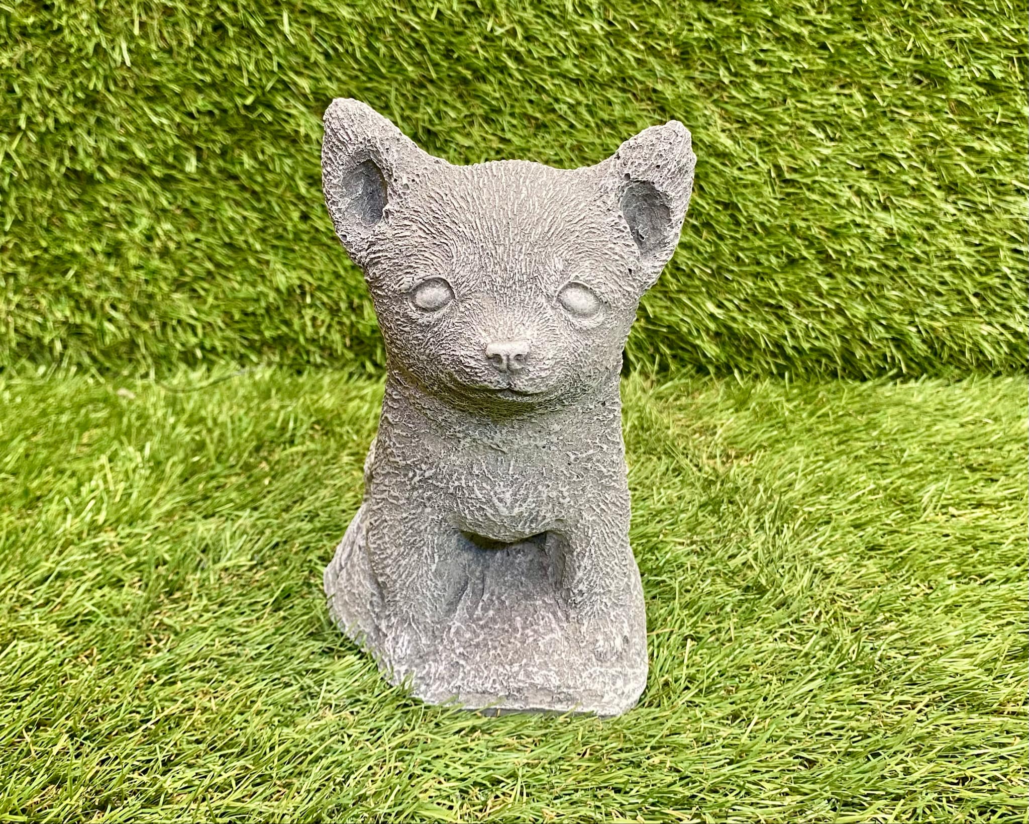 Chihuahua