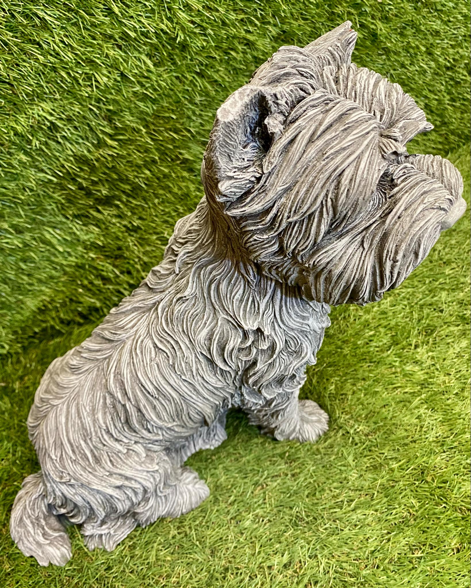 Large Westie Dog