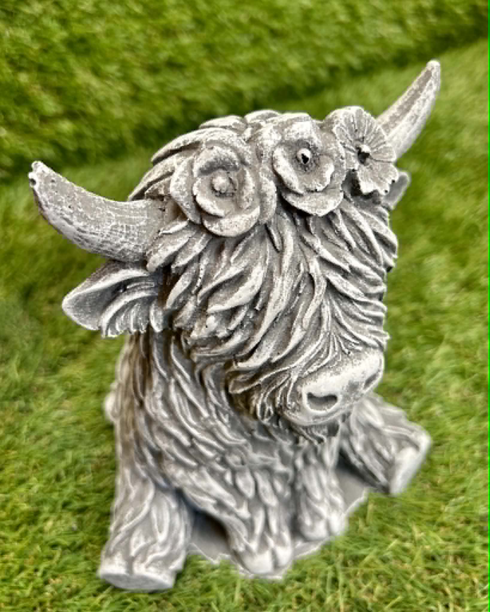 Small Highland Cow