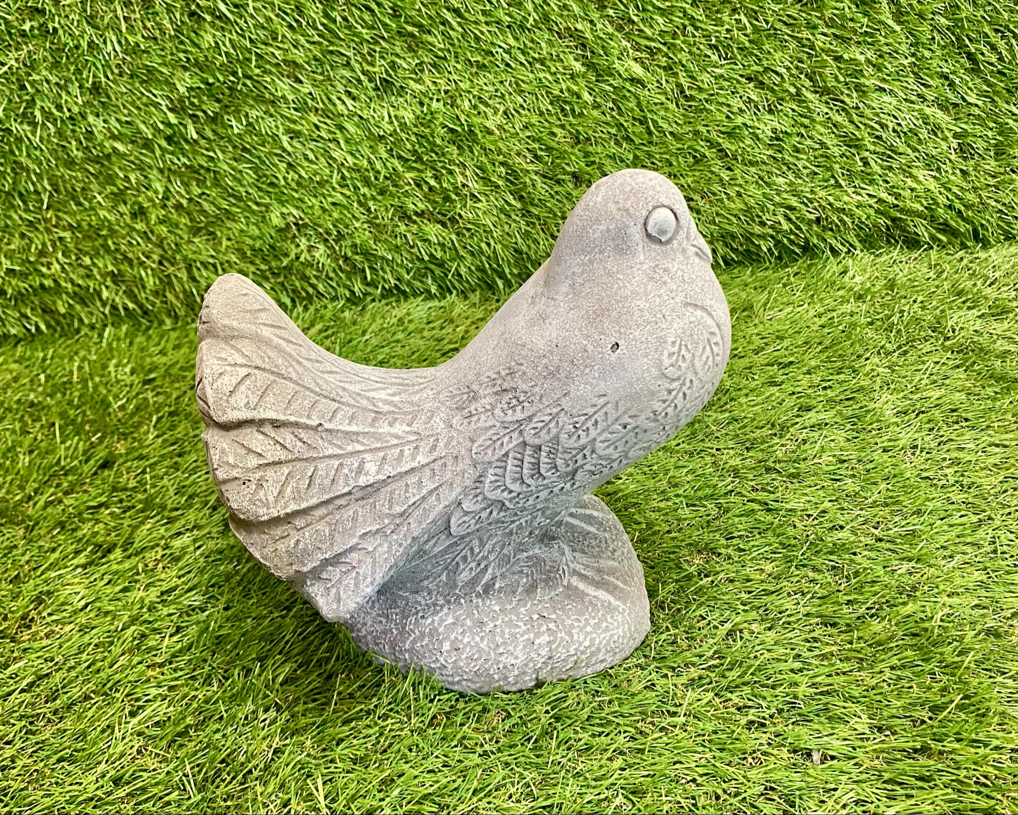 Dove