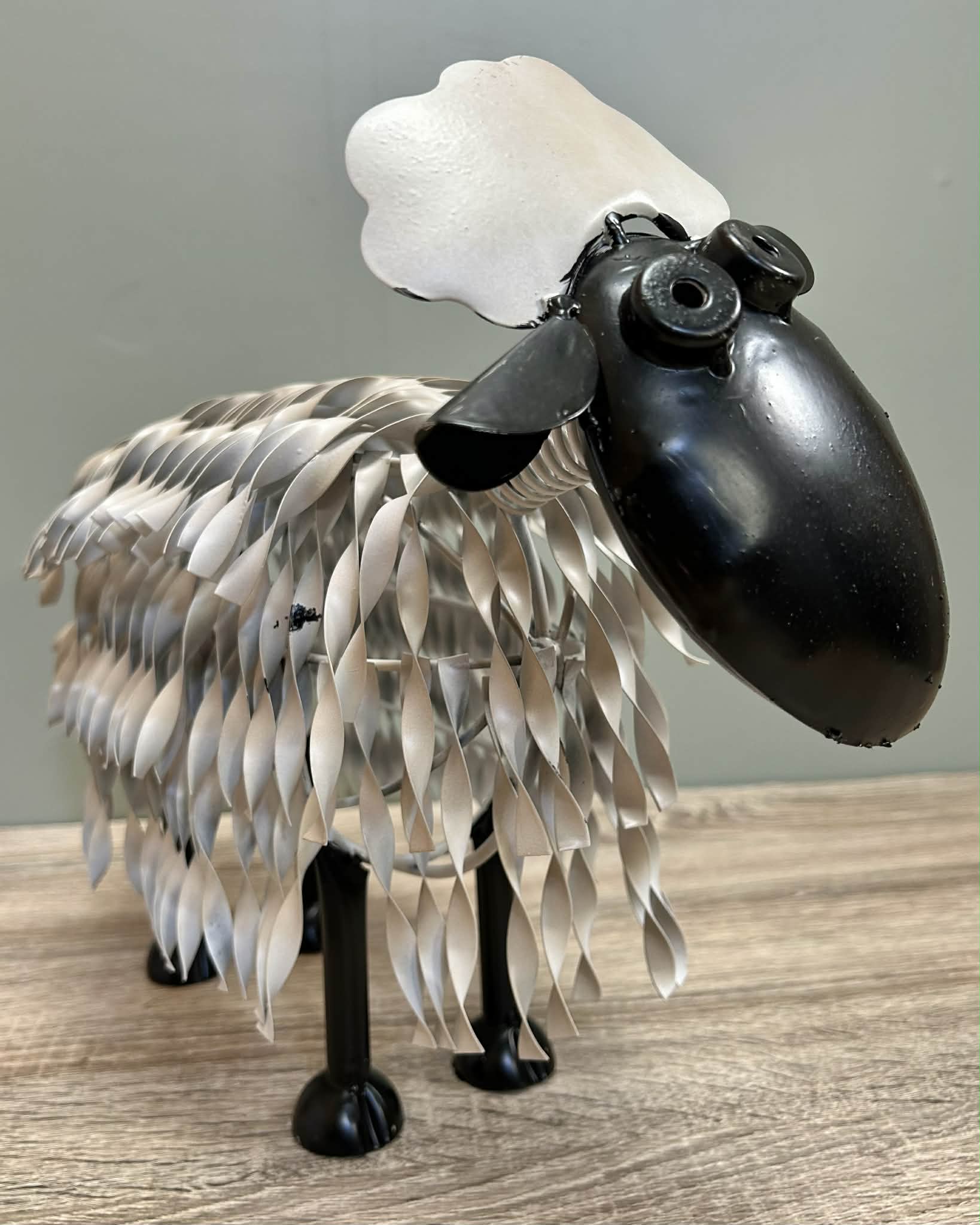 Sheep