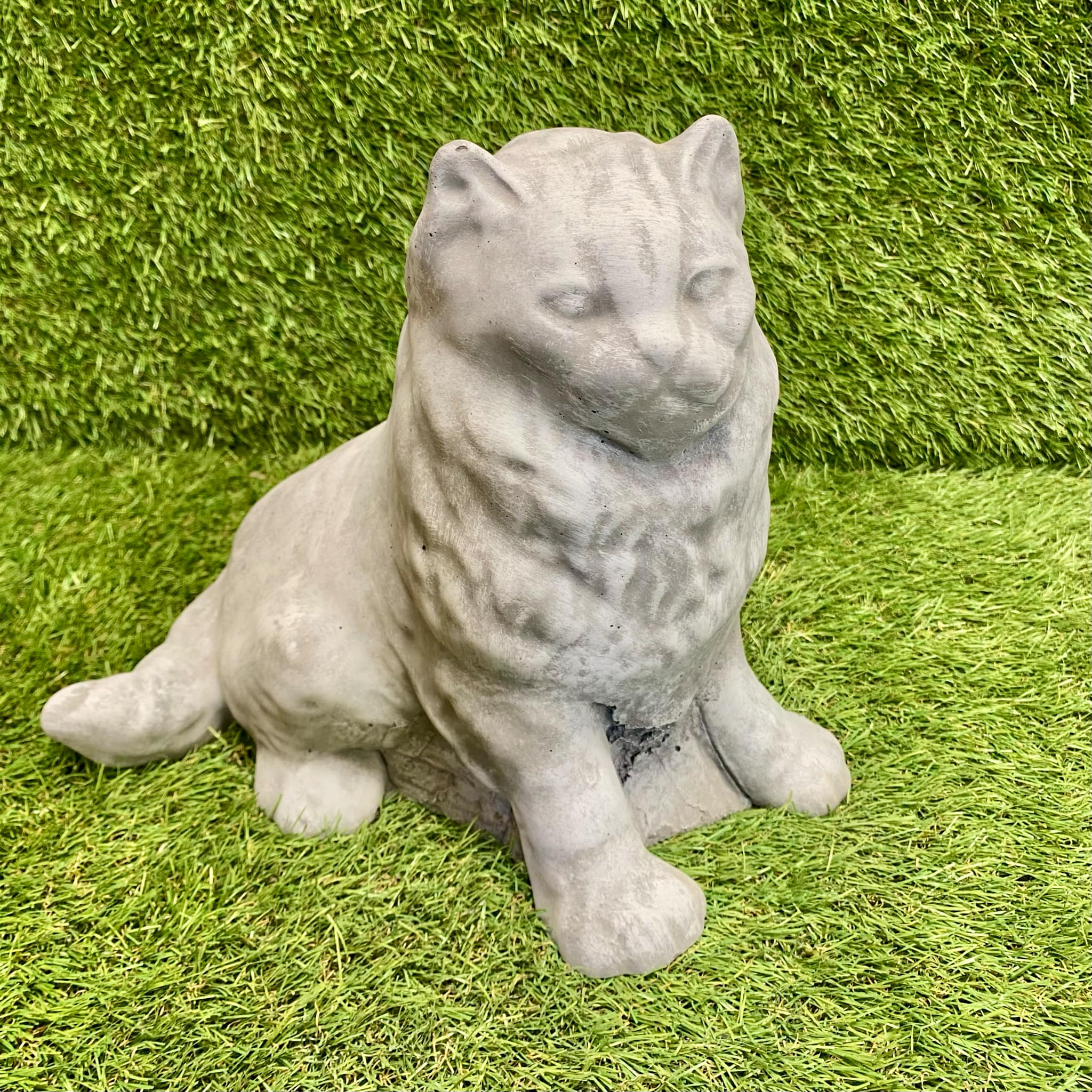 Large Persian Cat