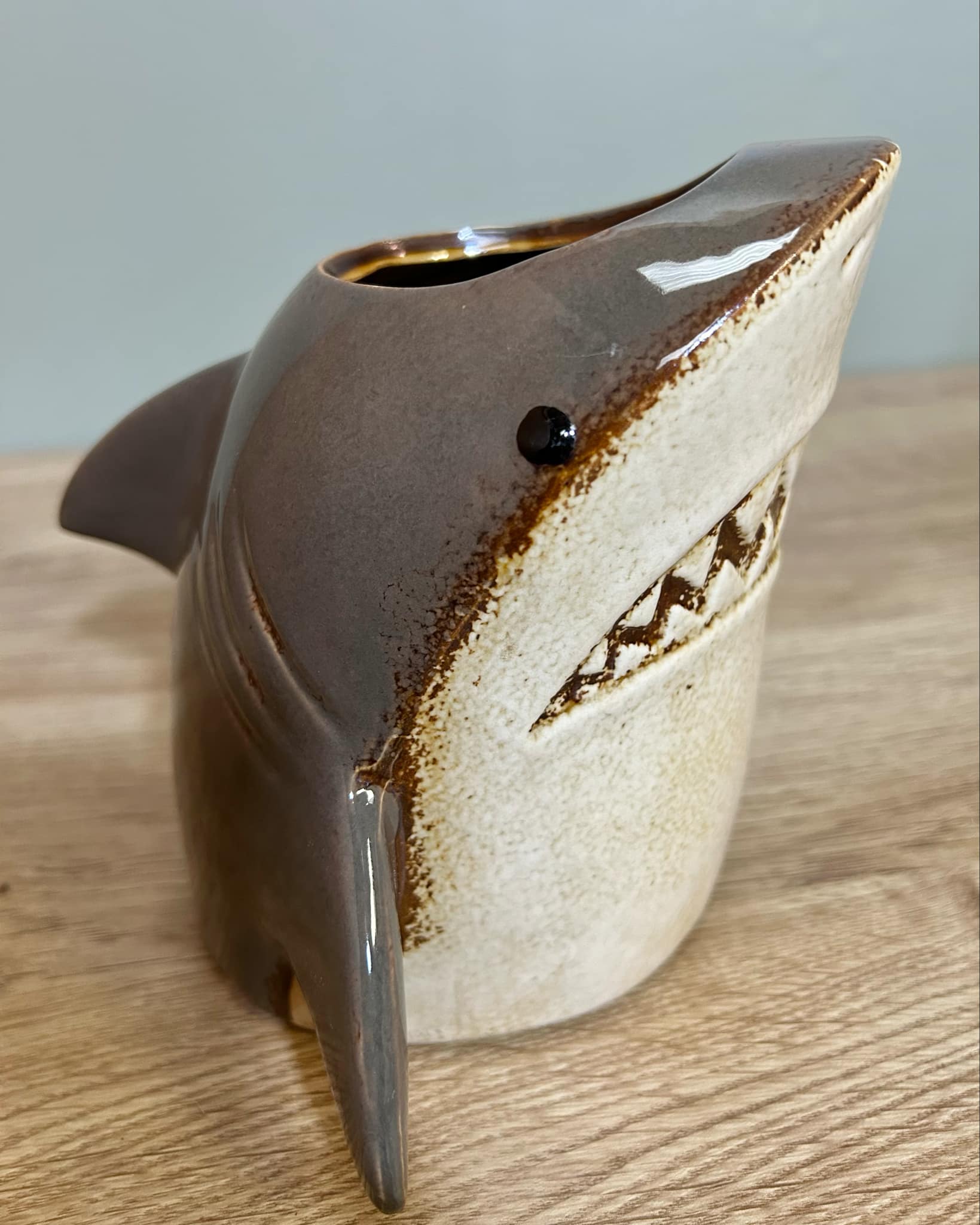 Shark Planter