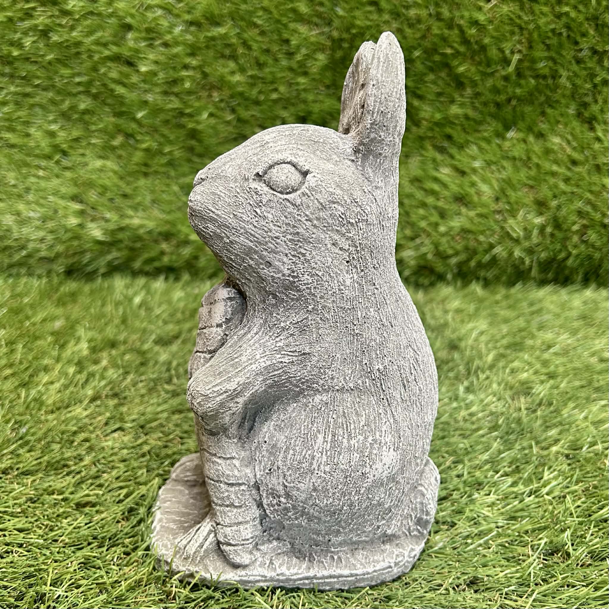 Rabbit With Carrot