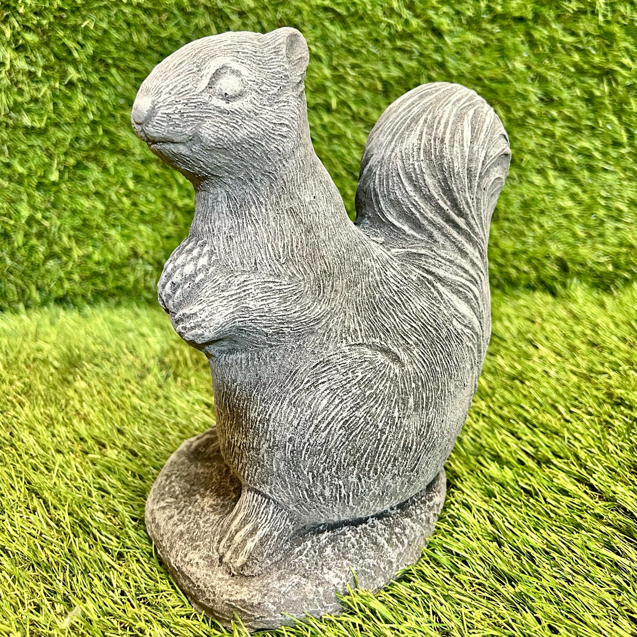 Squirrel