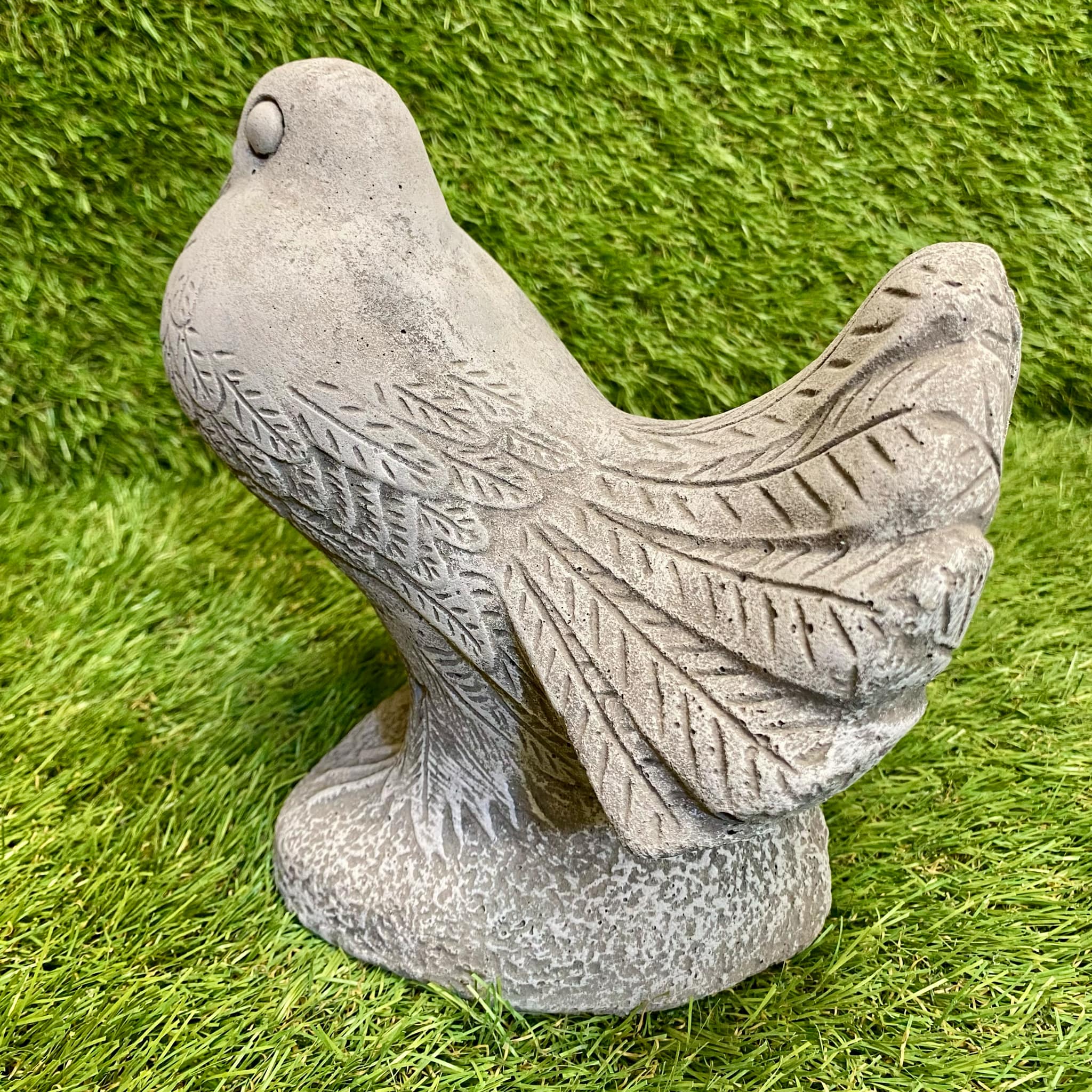 Dove