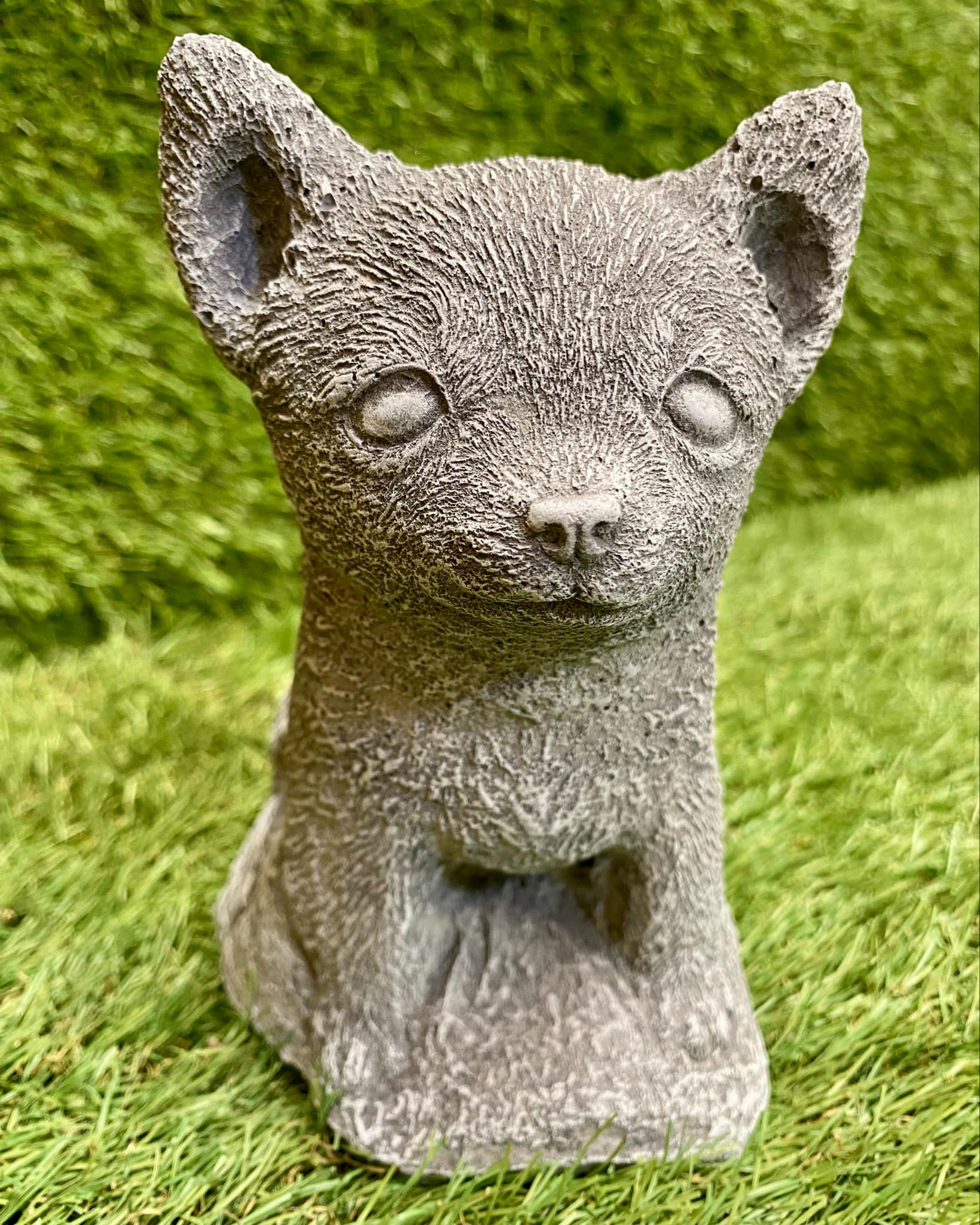 Chihuahua