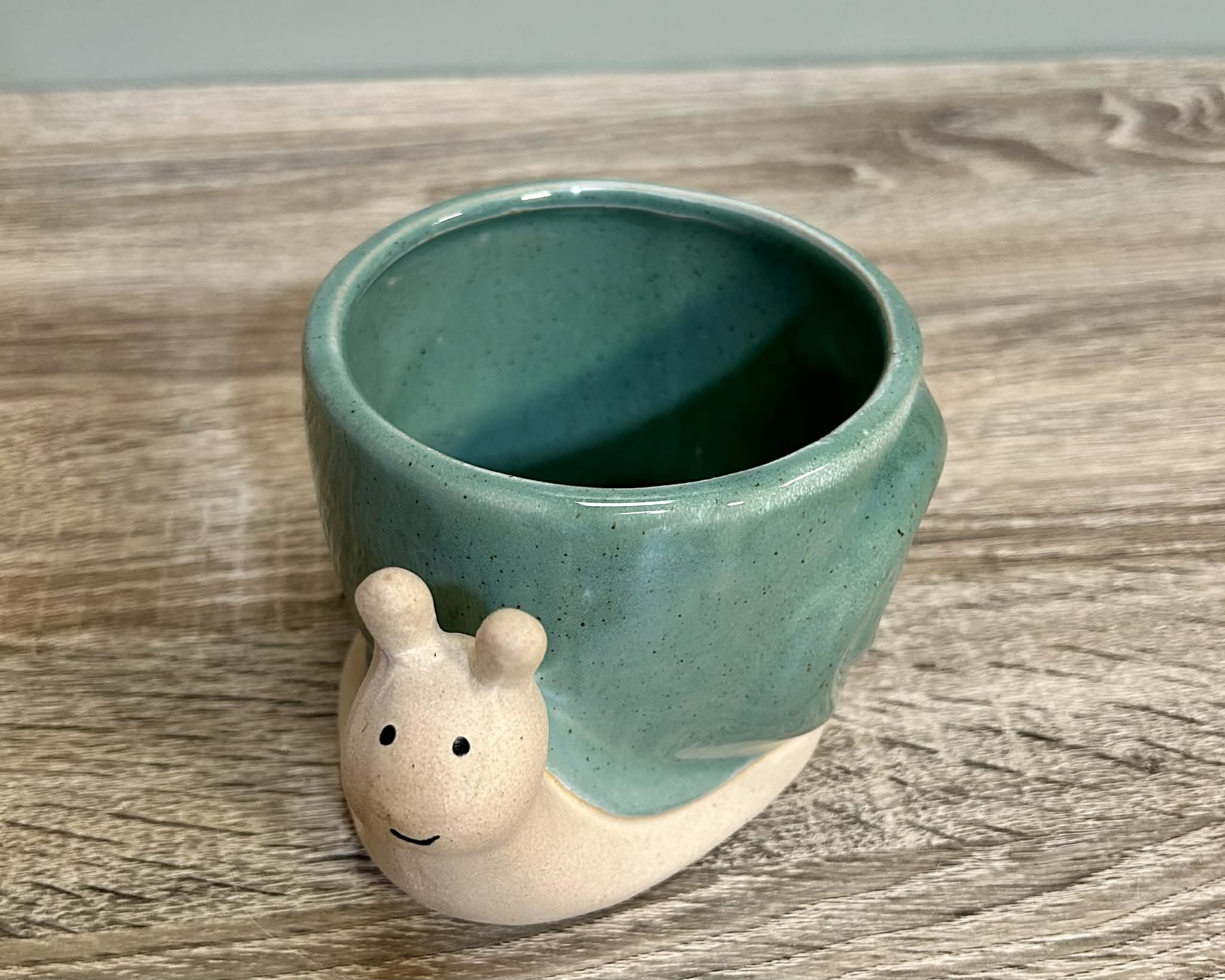 Ceramic Snail Planter