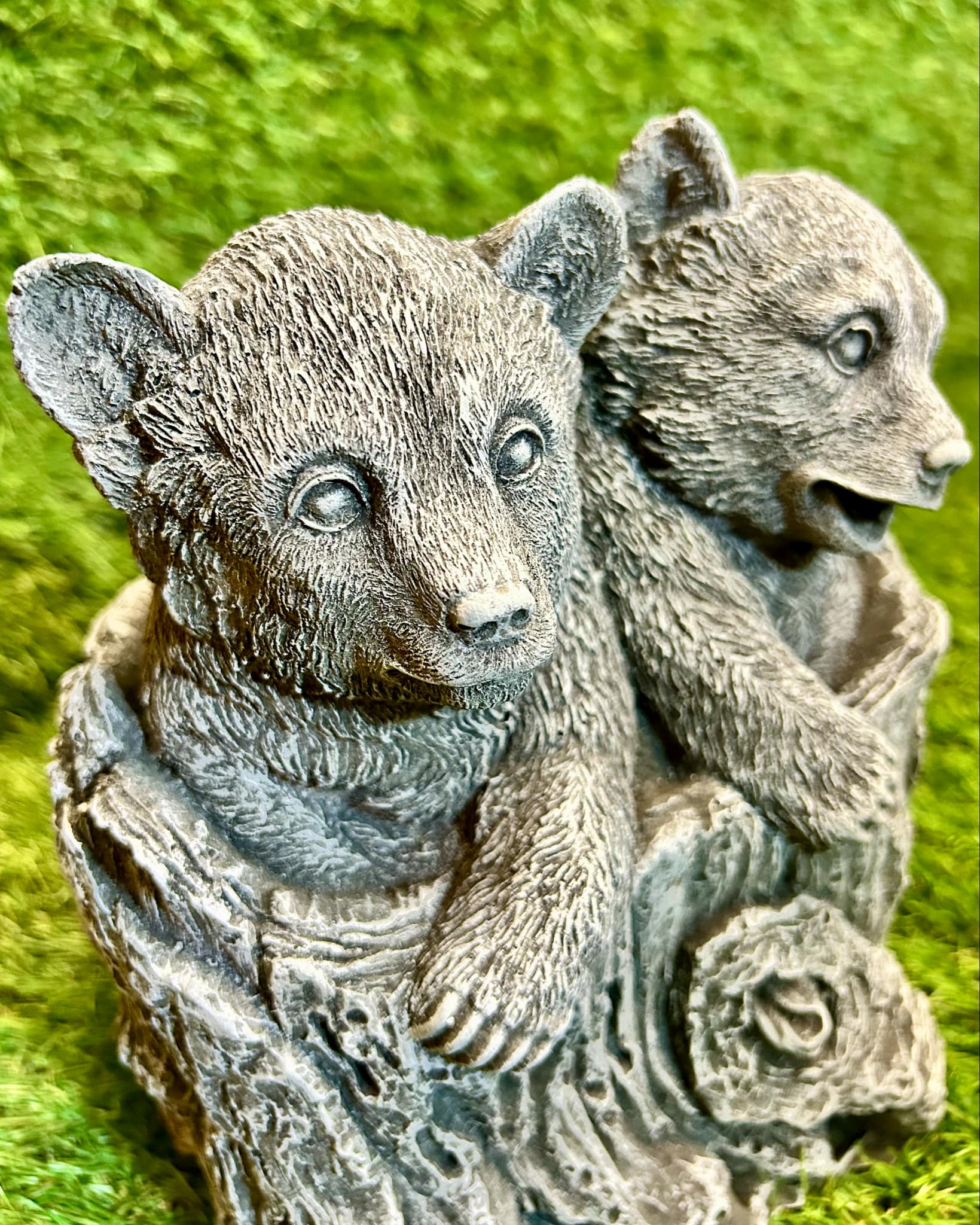 Two Baby Bears In Stump