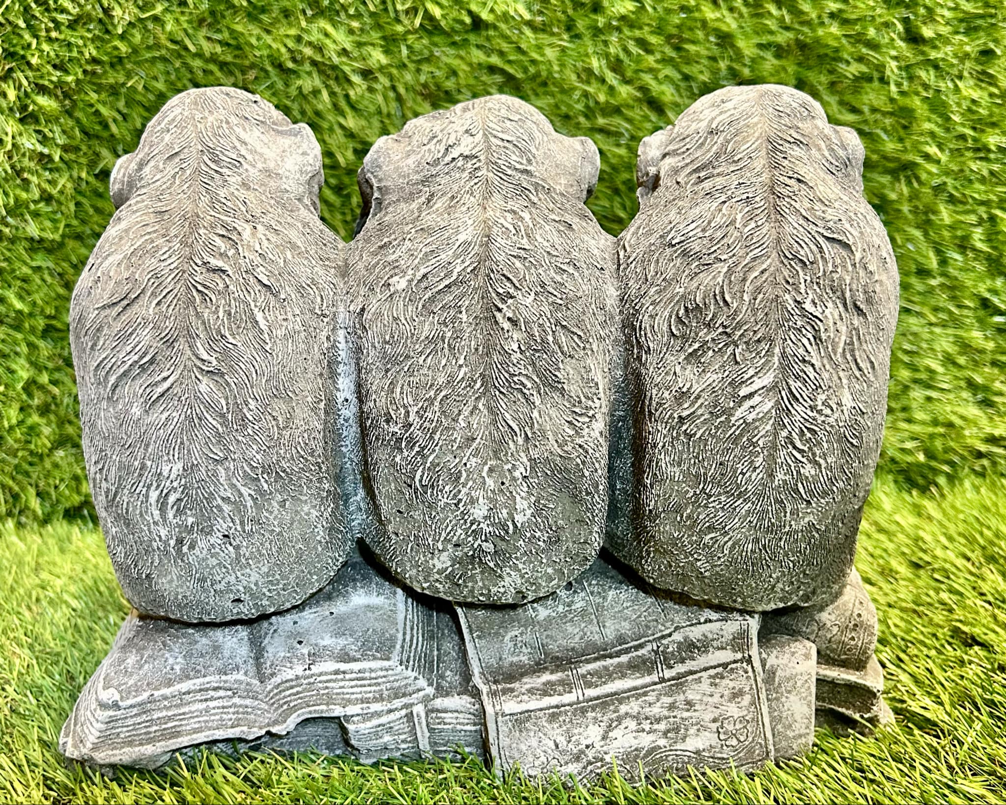 Monkeys (Hear, See, Speak No Evil) On A Book