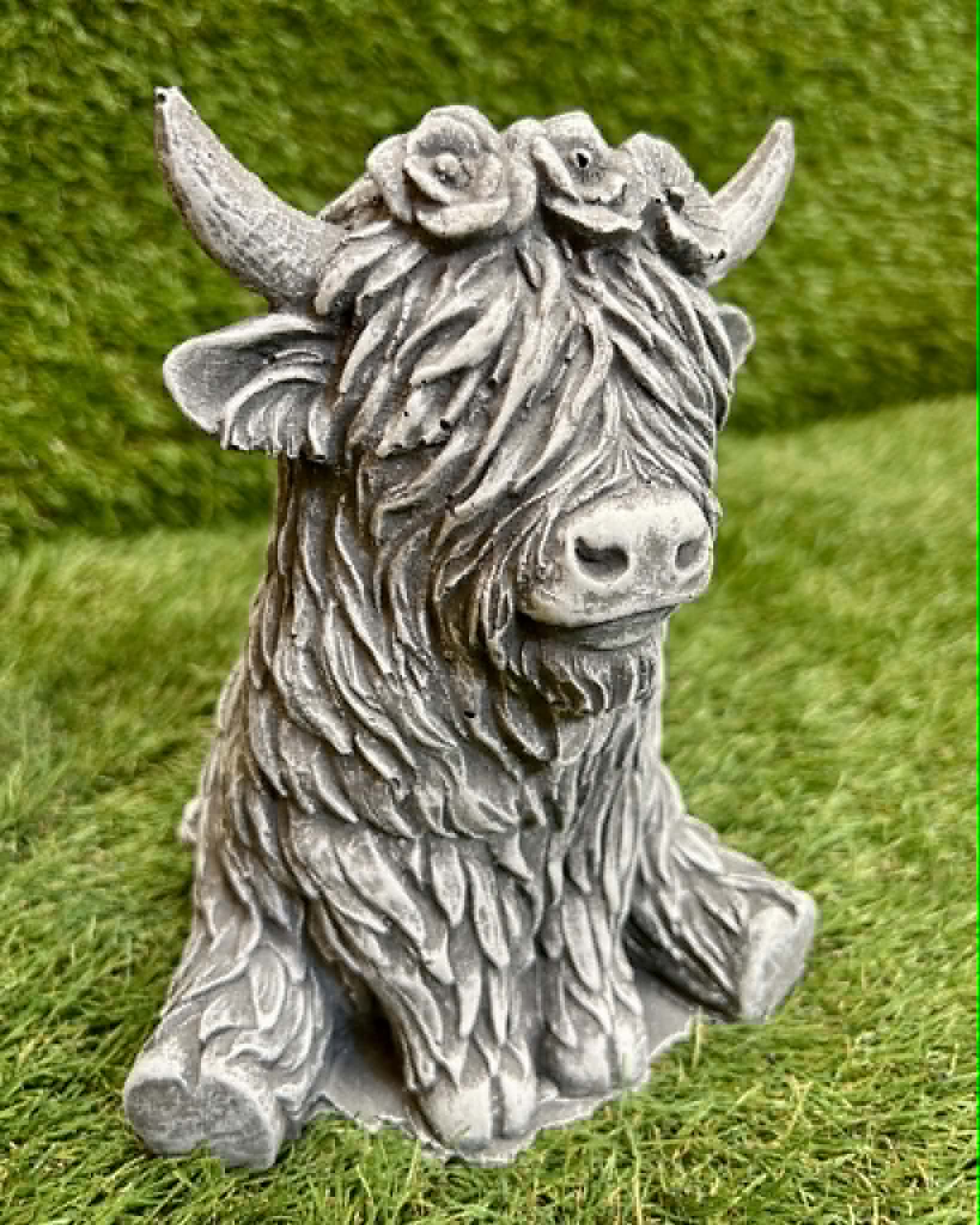 Small Highland Cow
