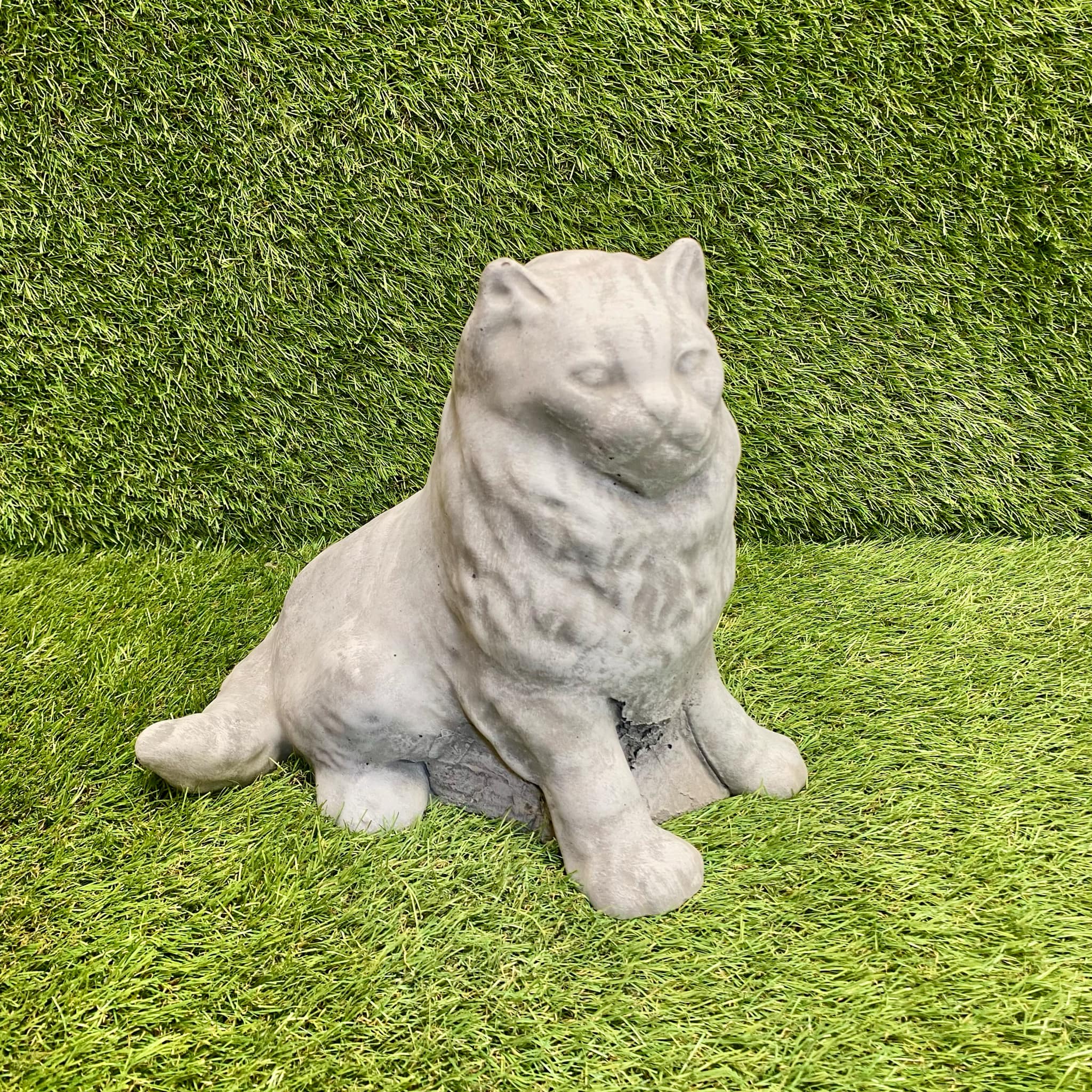Large Persian Cat