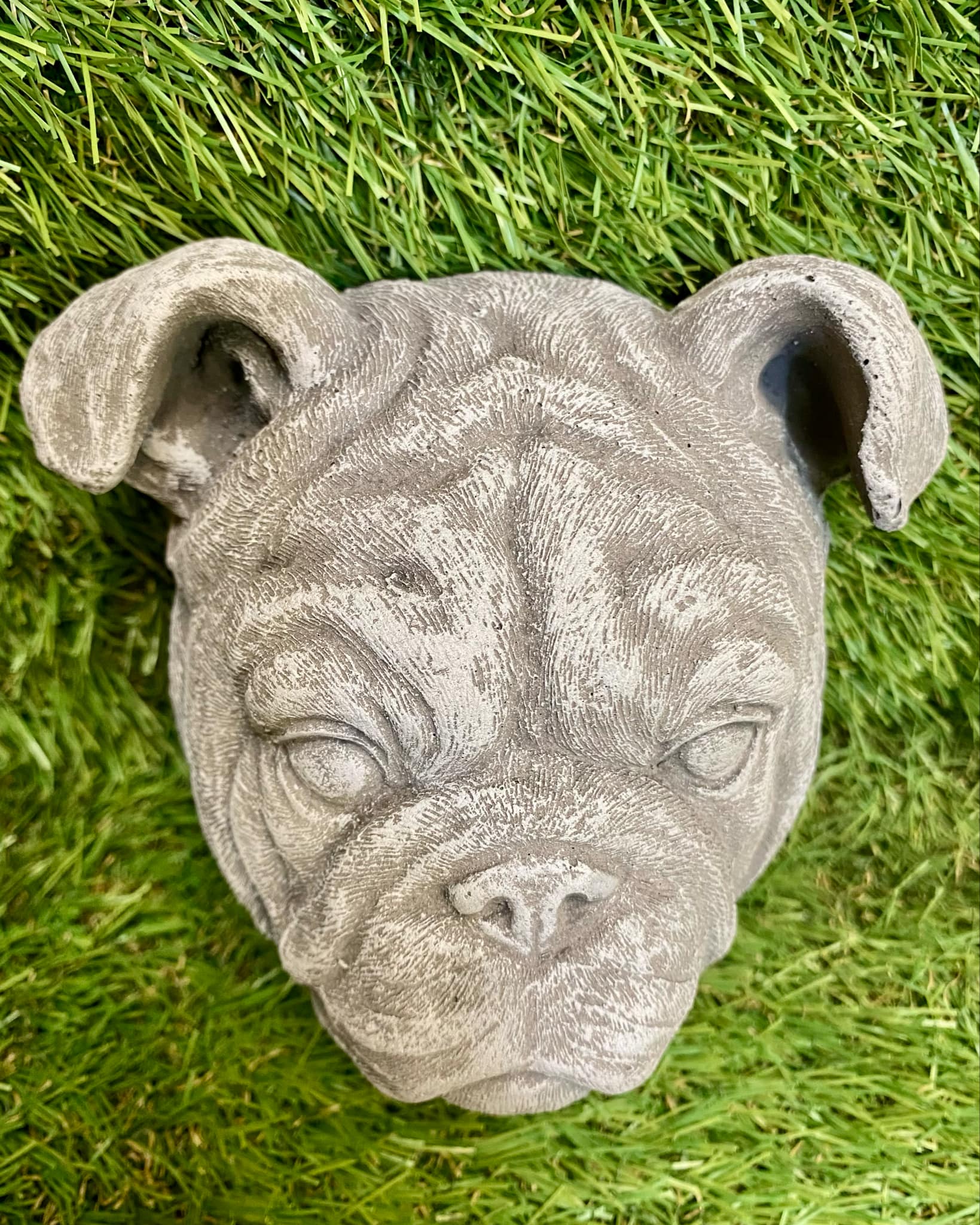 Bulldog Head Wall Plaque