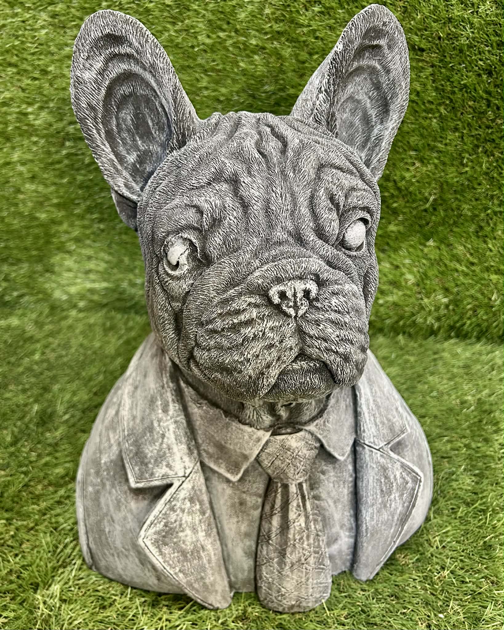 Large French Bulldog Bust