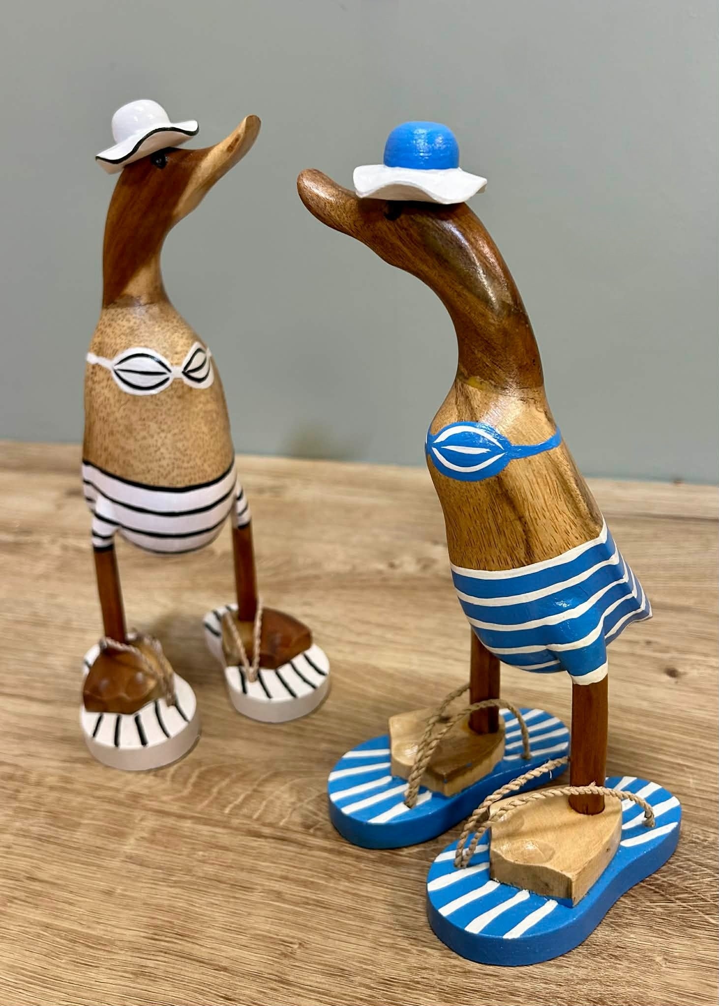 Wooden Ducks Bikinis