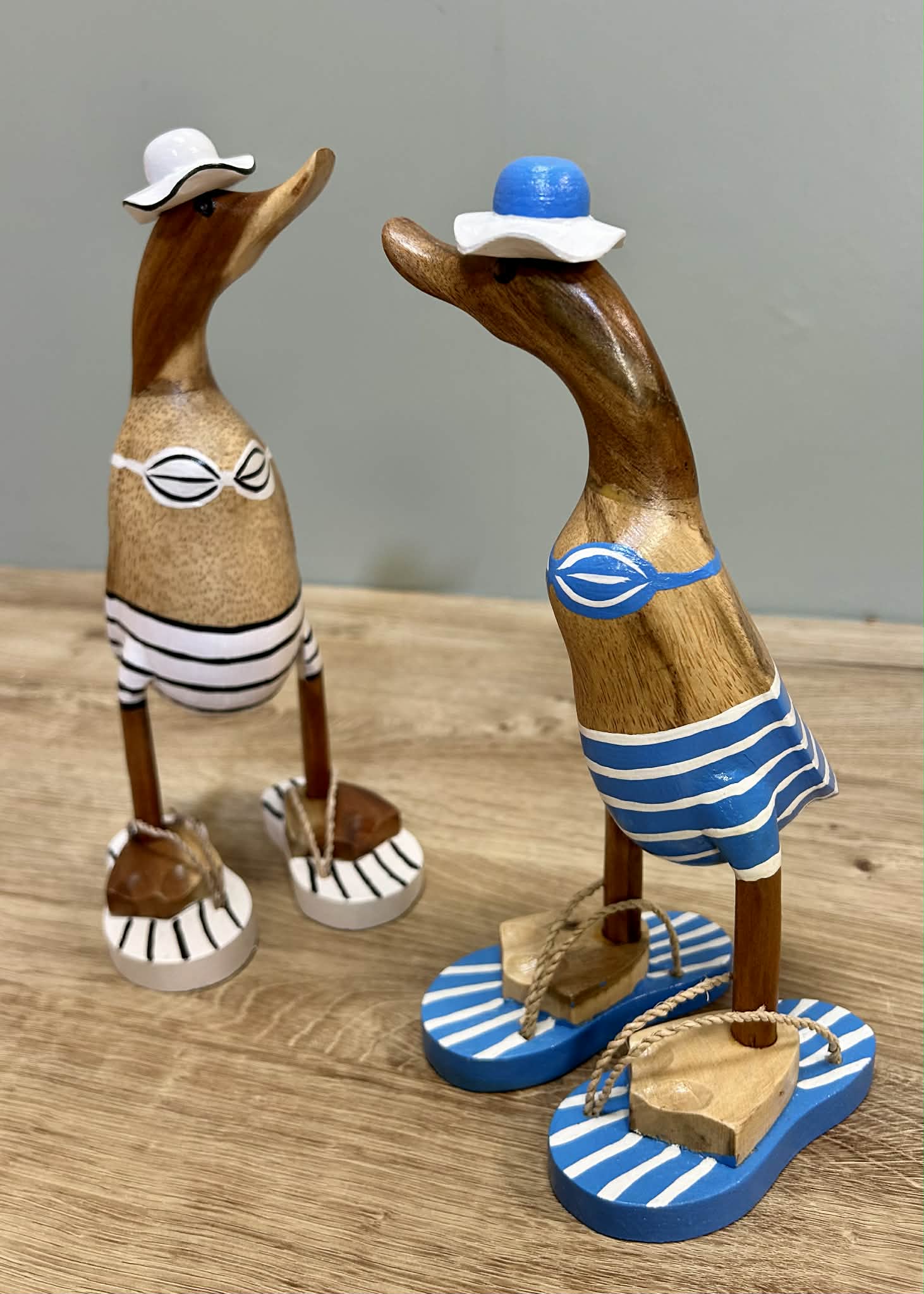 Wooden Ducks Bikinis