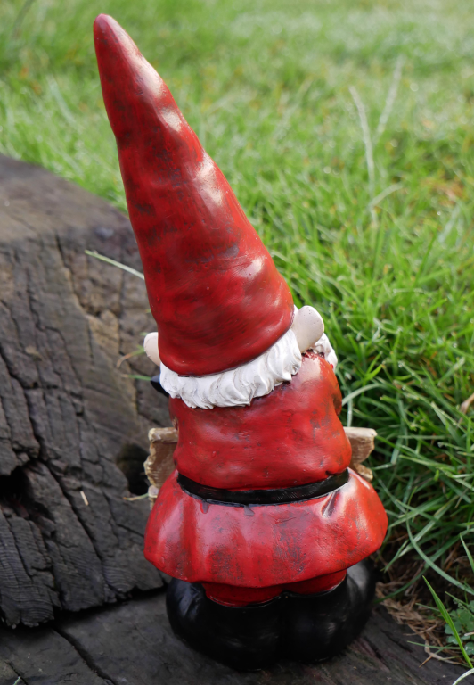 Cheeky Garden Gnome- Leave