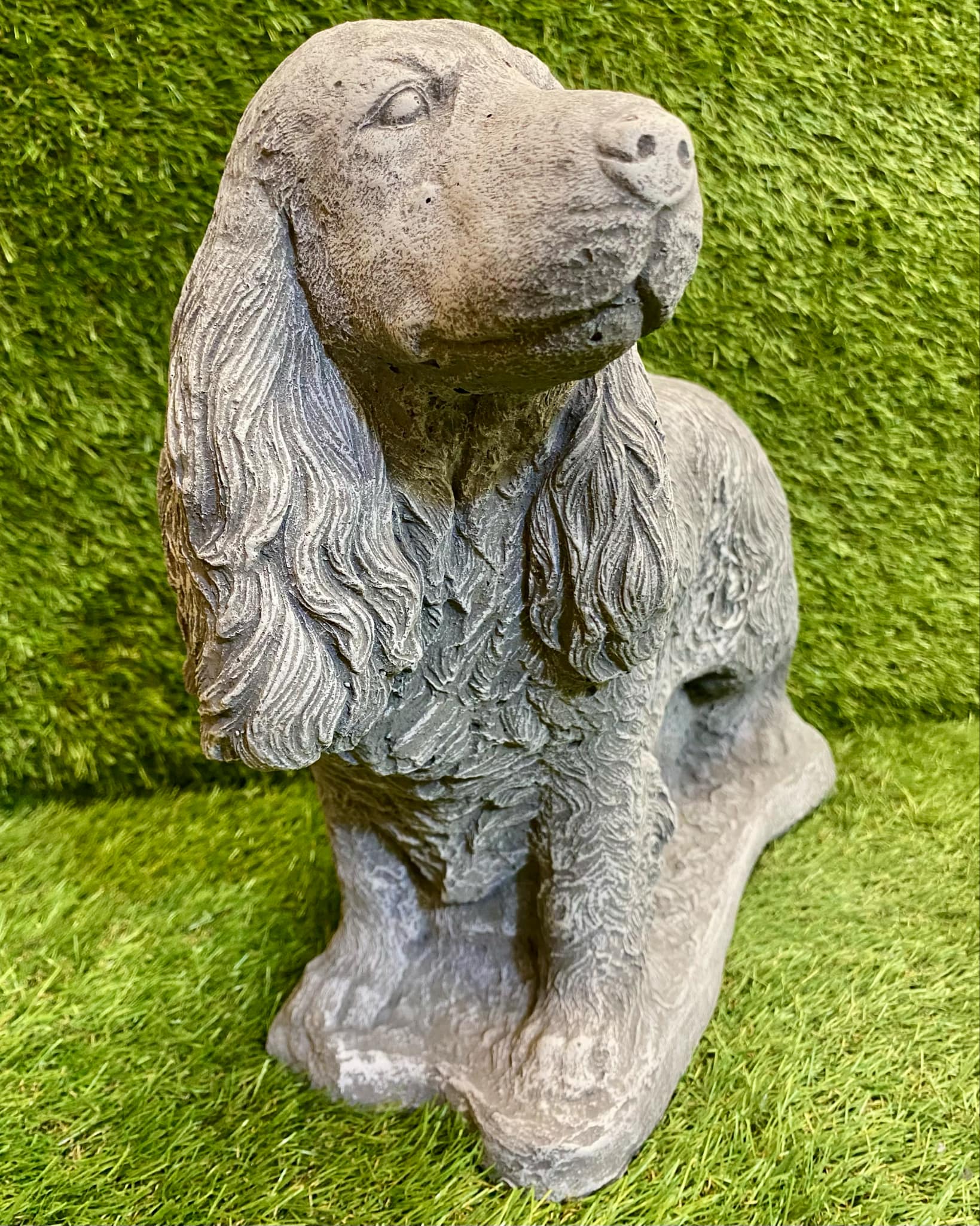 Large Spaniel Dog