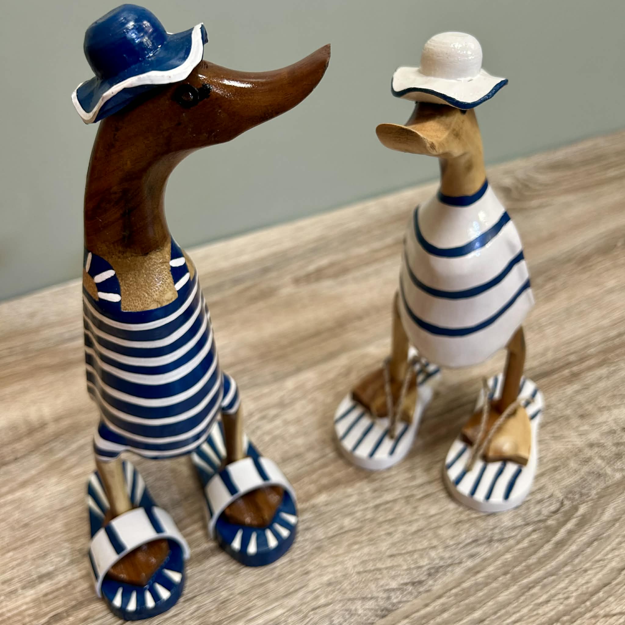 Wooden Ducks Swimsuits
