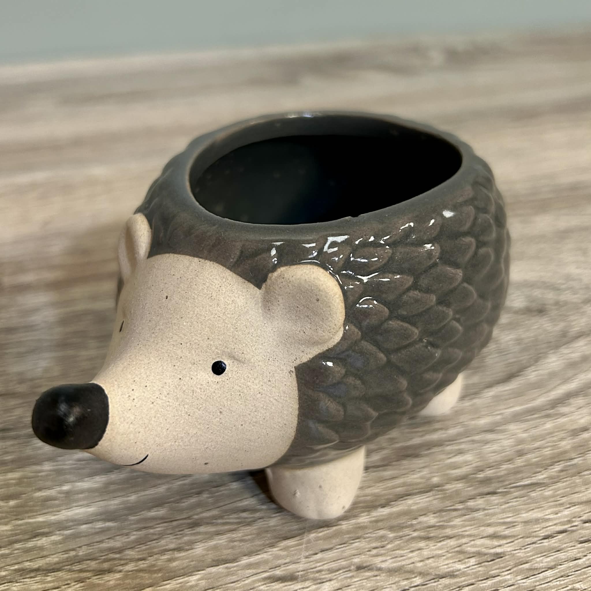 Ceramic Hedgehog Plant Pot