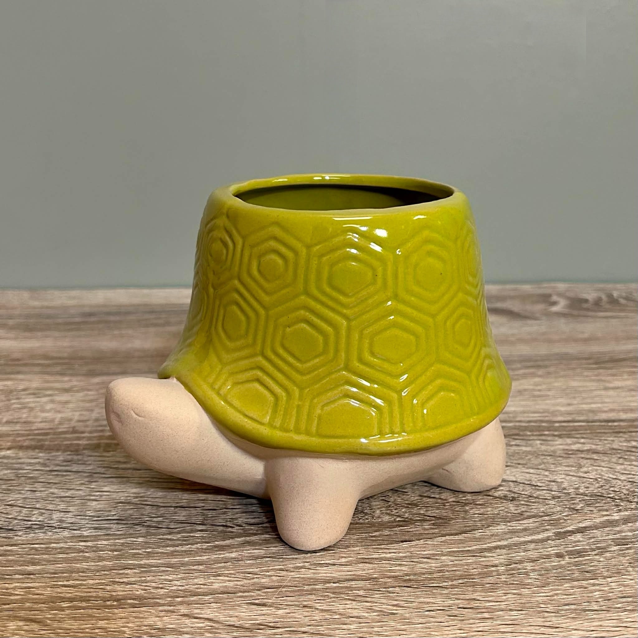 Ceramic Tortoise Planter