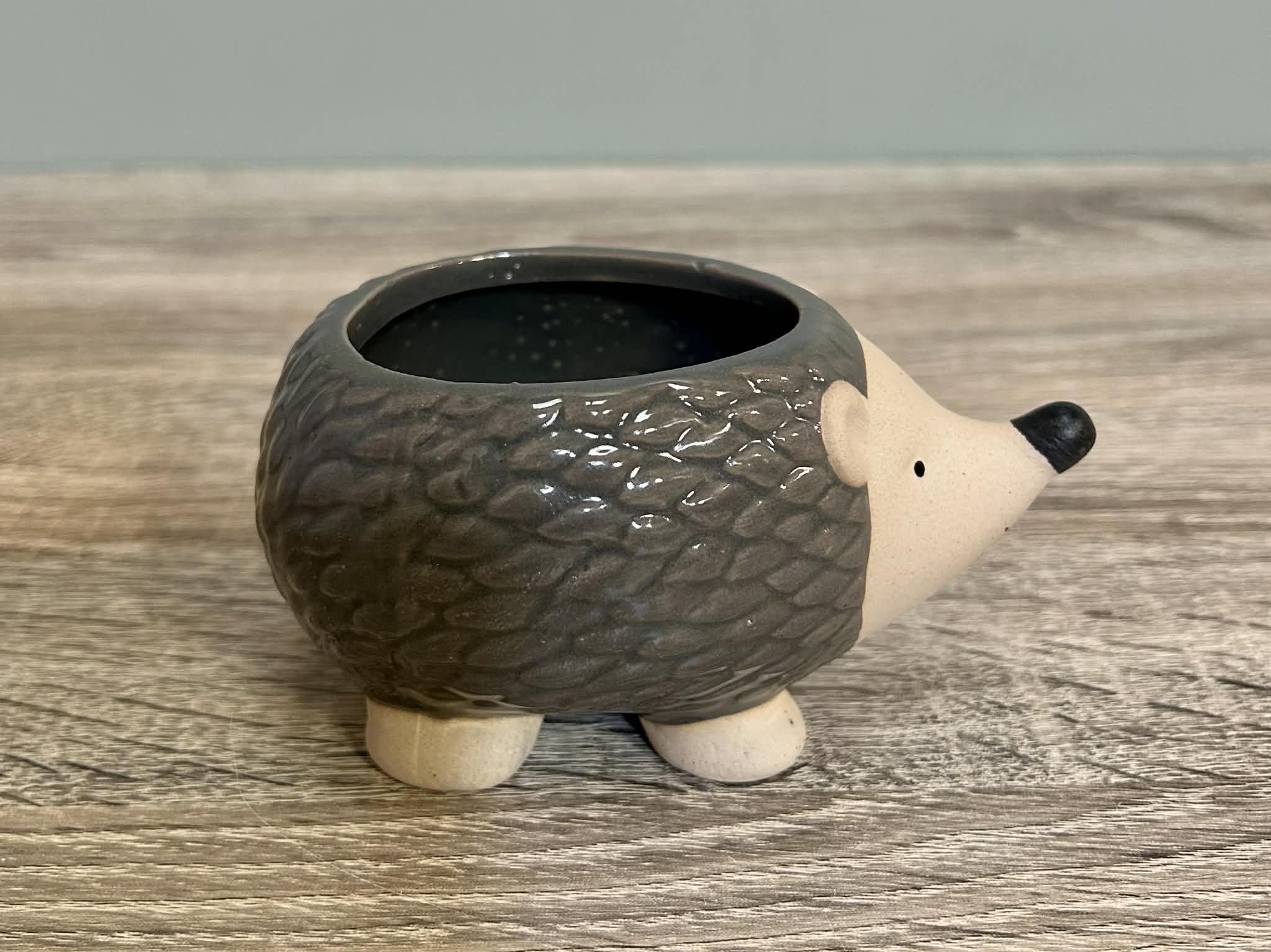 Ceramic Hedgehog Plant Pot