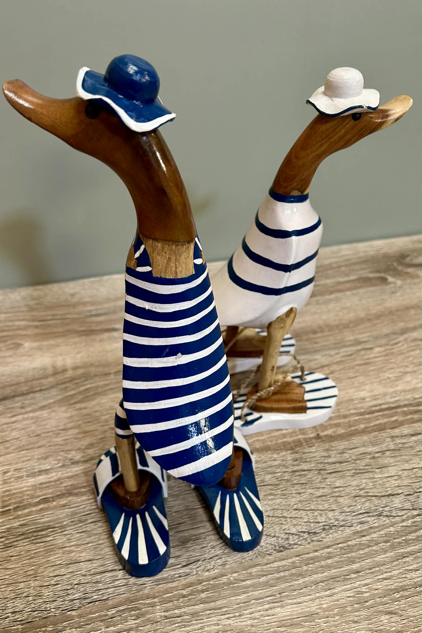 Wooden Ducks Swimsuits