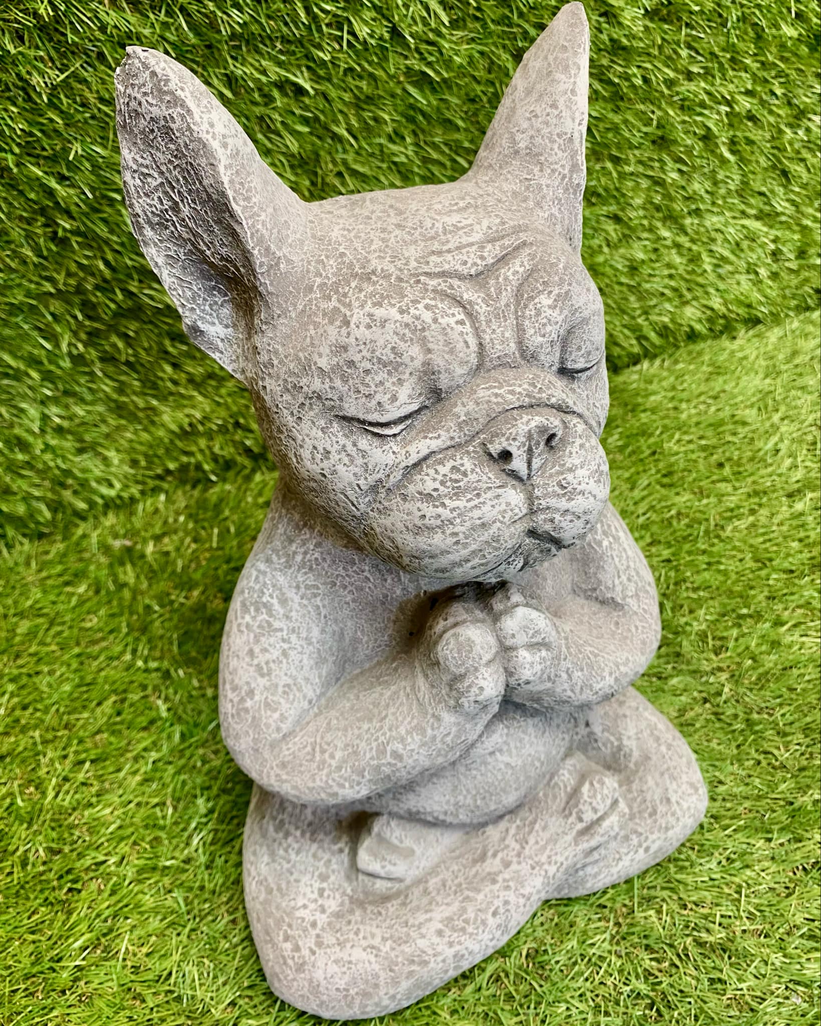 Yoga Meditating French Bulldog