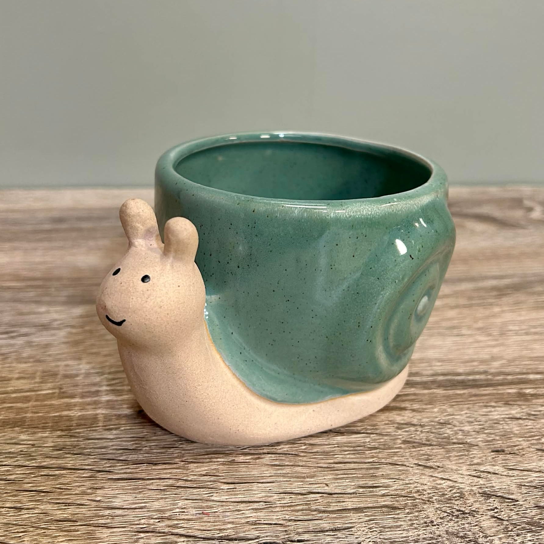 Ceramic Snail Planter