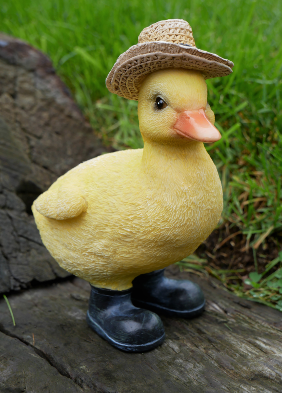 Duckling With A Hat