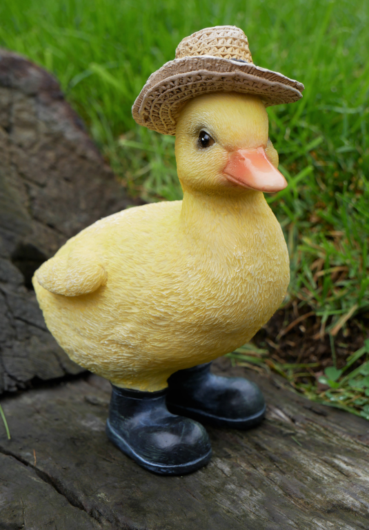 Duckling With A Hat