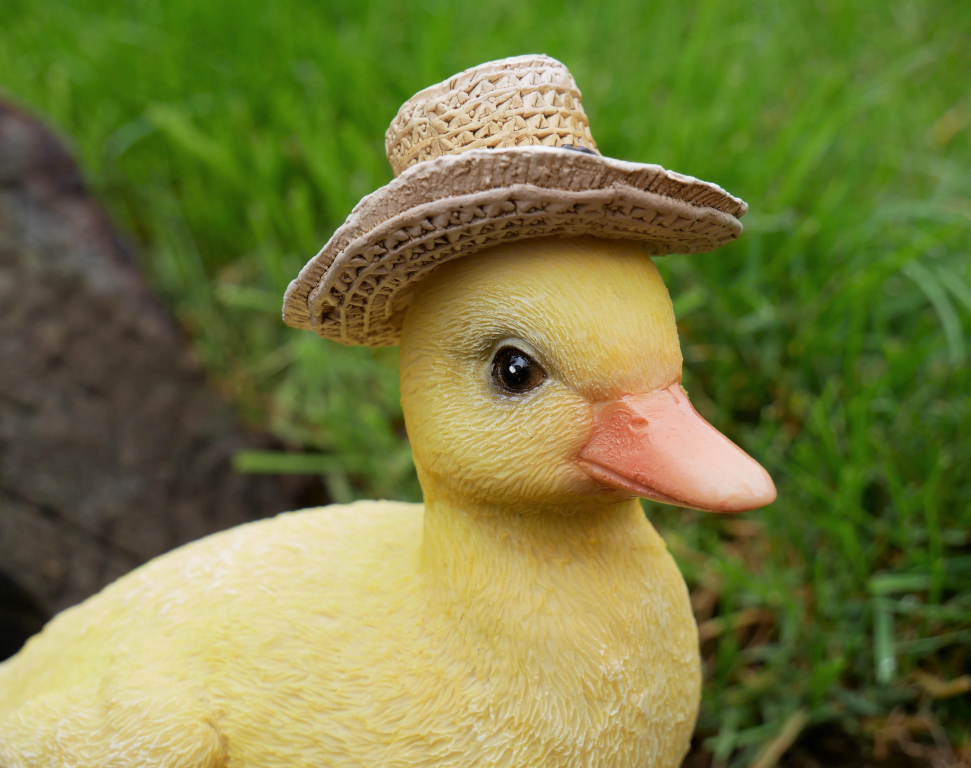 Duckling With A Hat