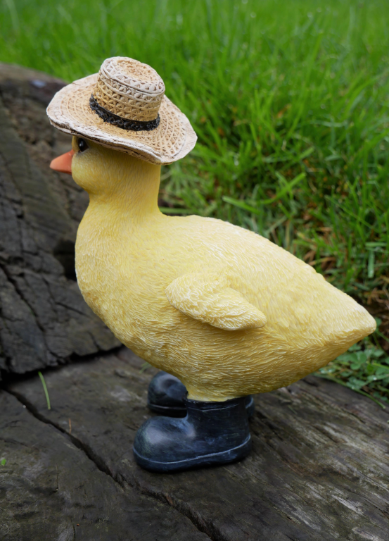Duckling With A Hat