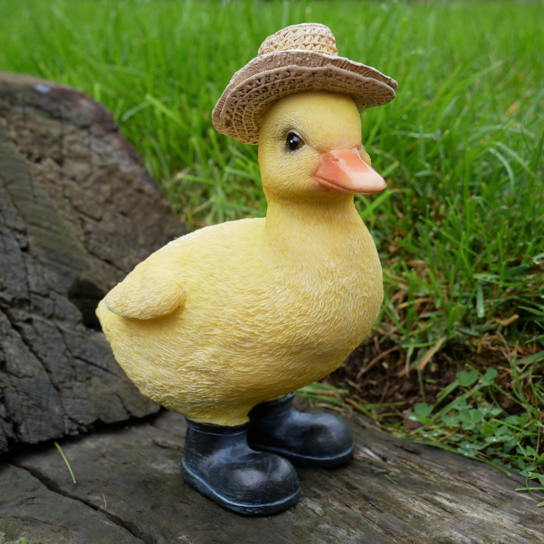 Duckling With A Hat