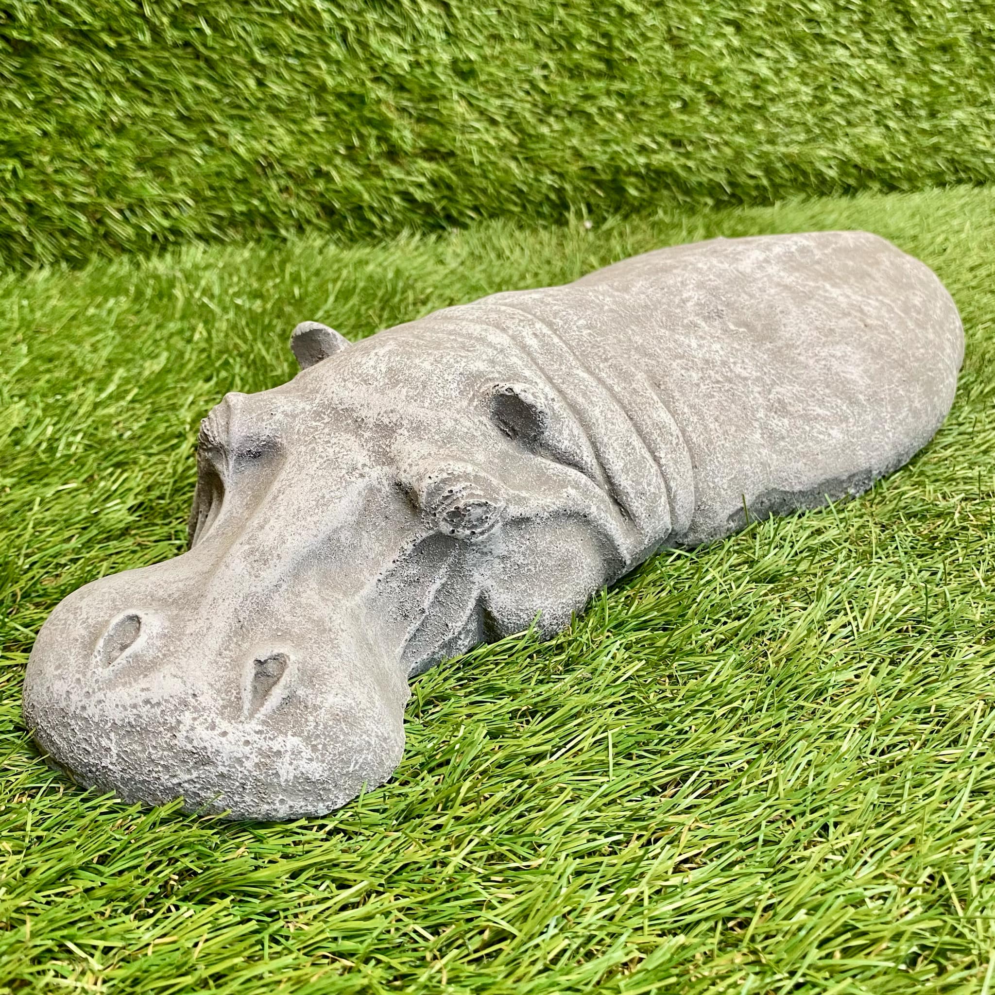Submerged Hippo