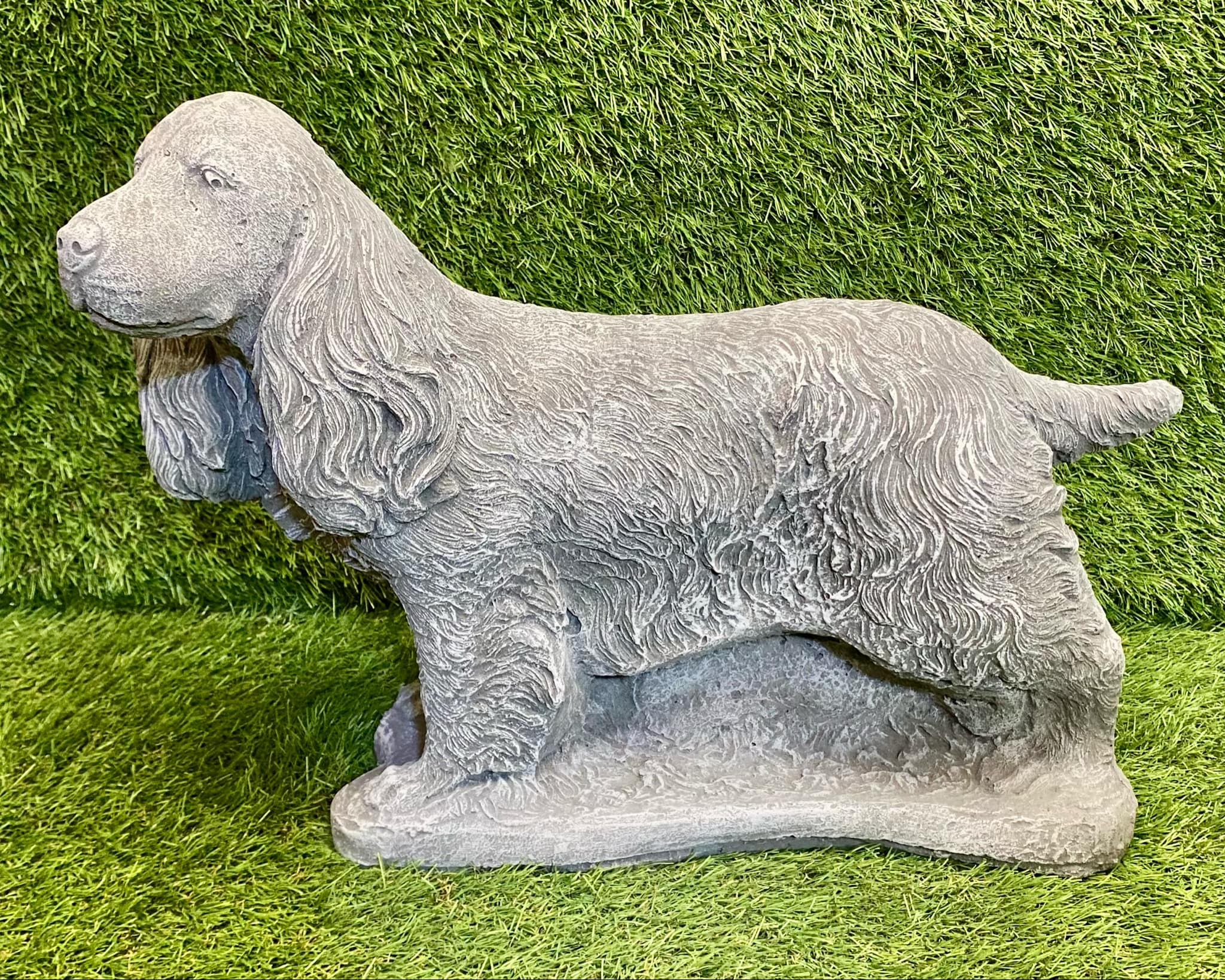 Large Spaniel Dog
