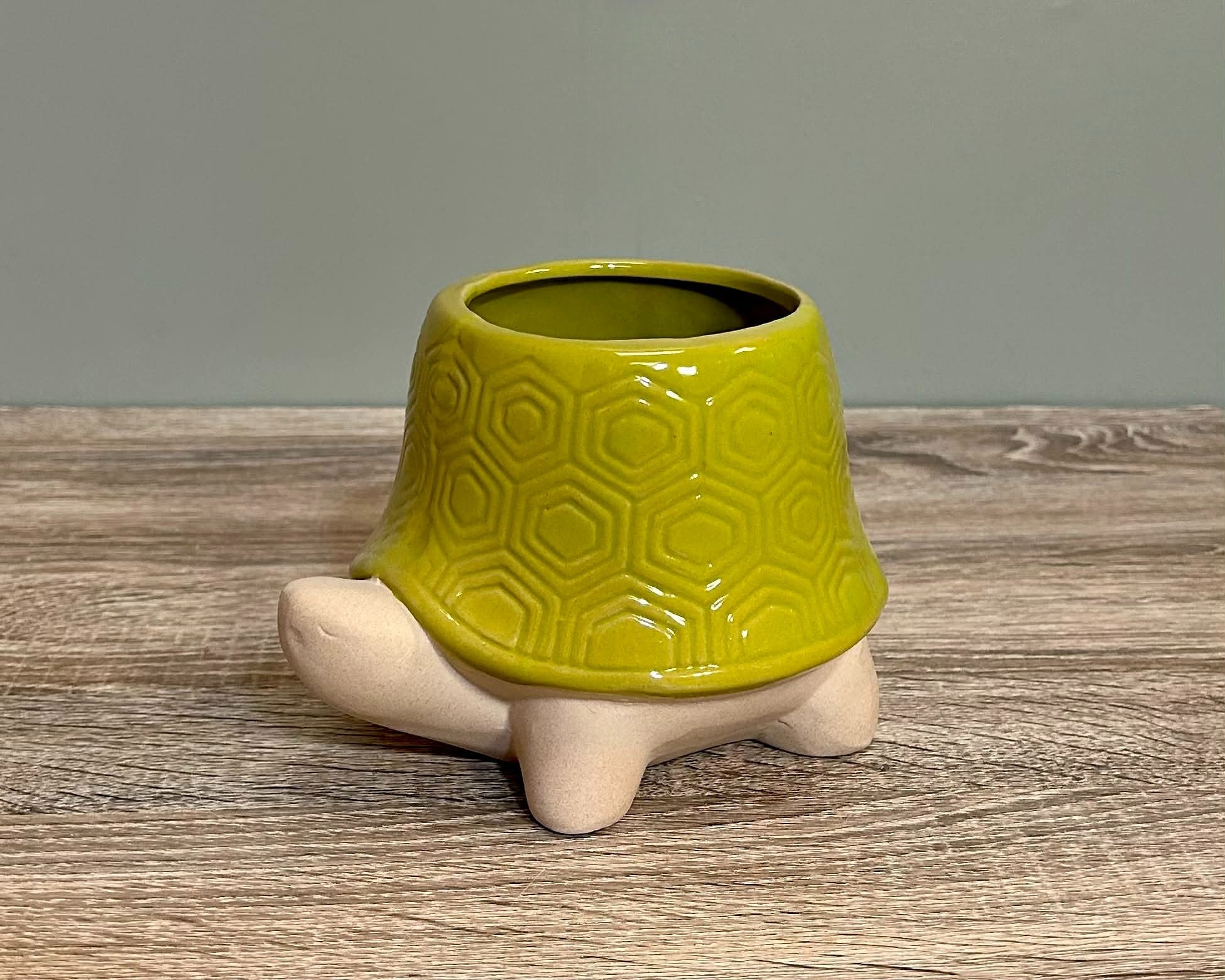 Ceramic Tortoise Planter