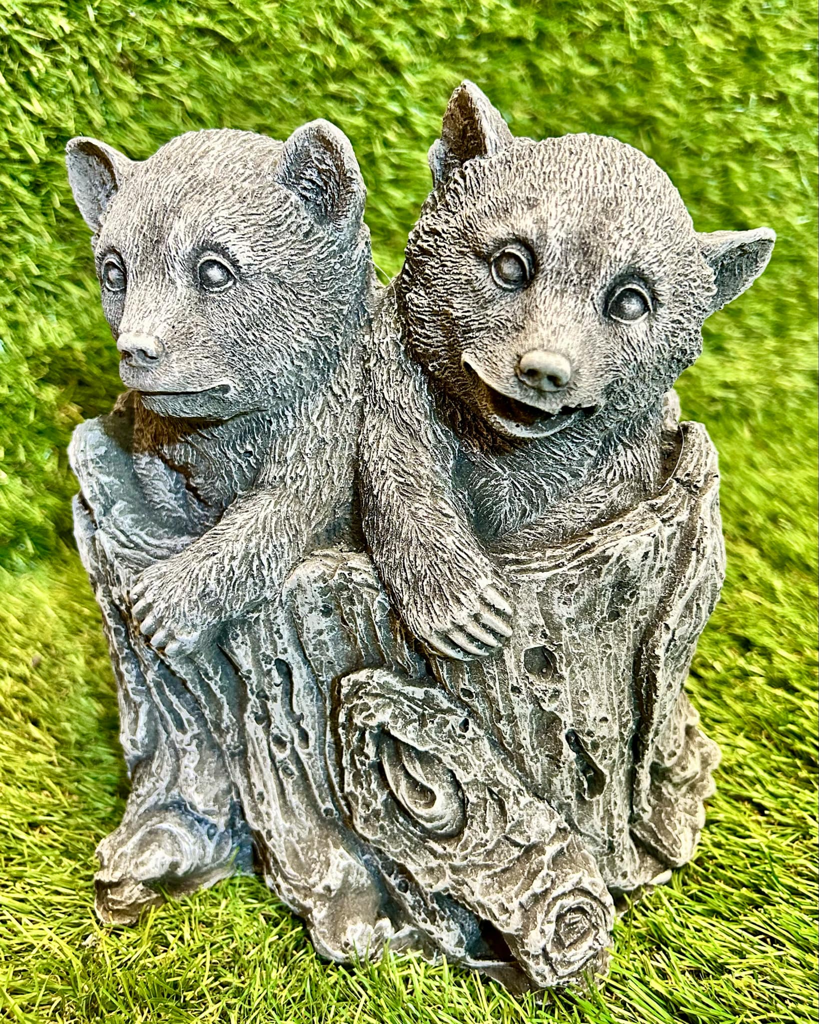 Two Baby Bears In Stump