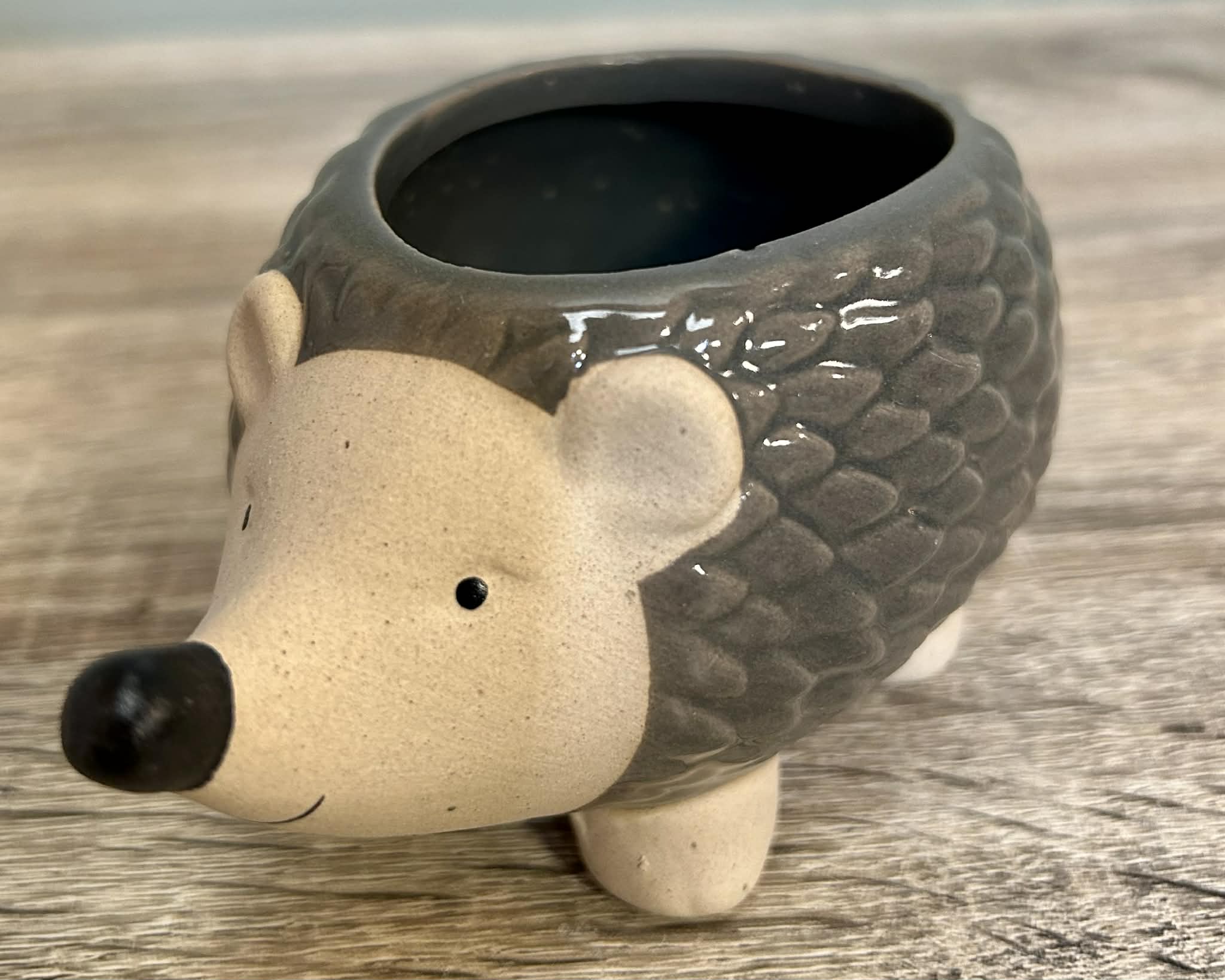Ceramic Hedgehog Plant Pot