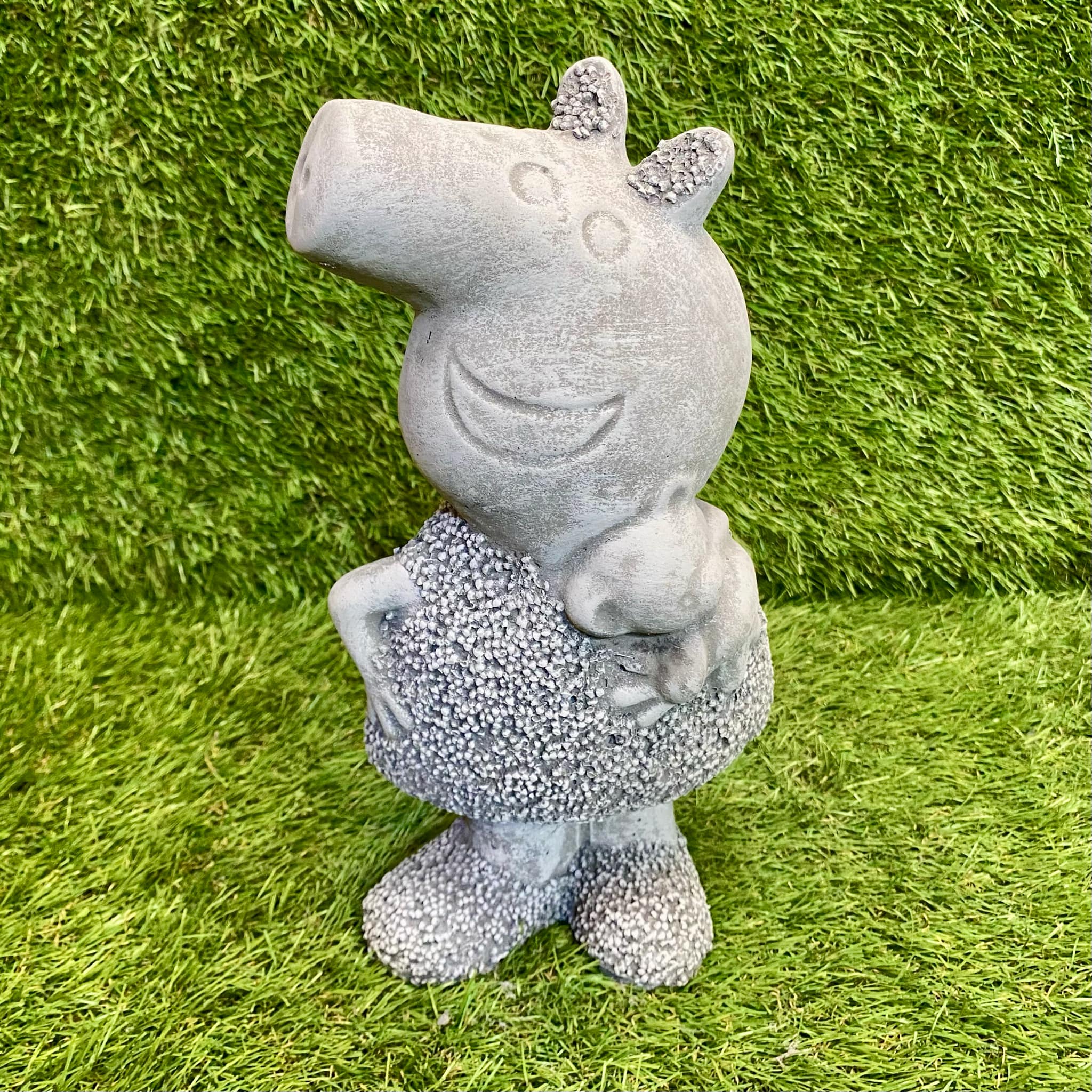 Cartoon Pig