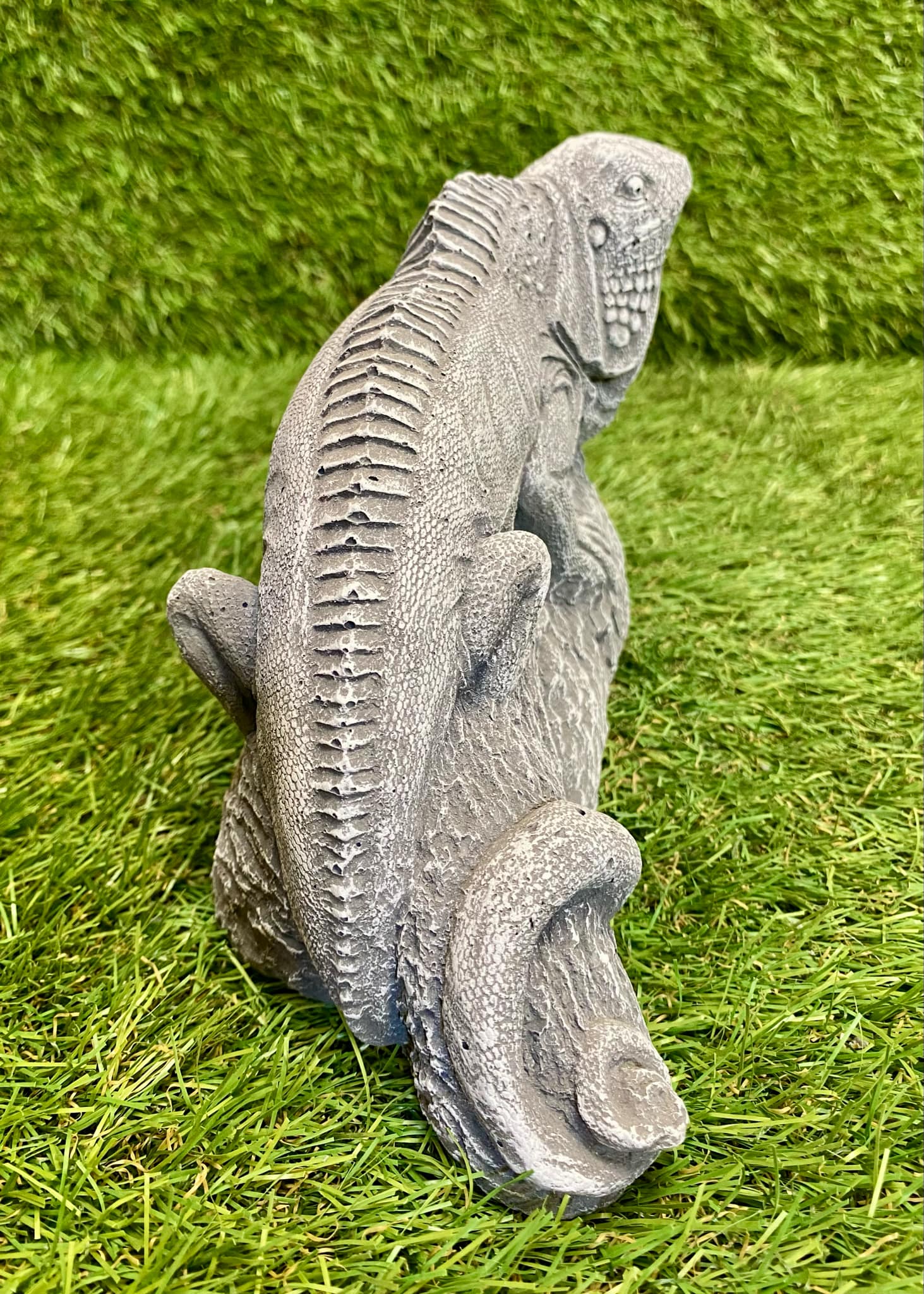 Iguana