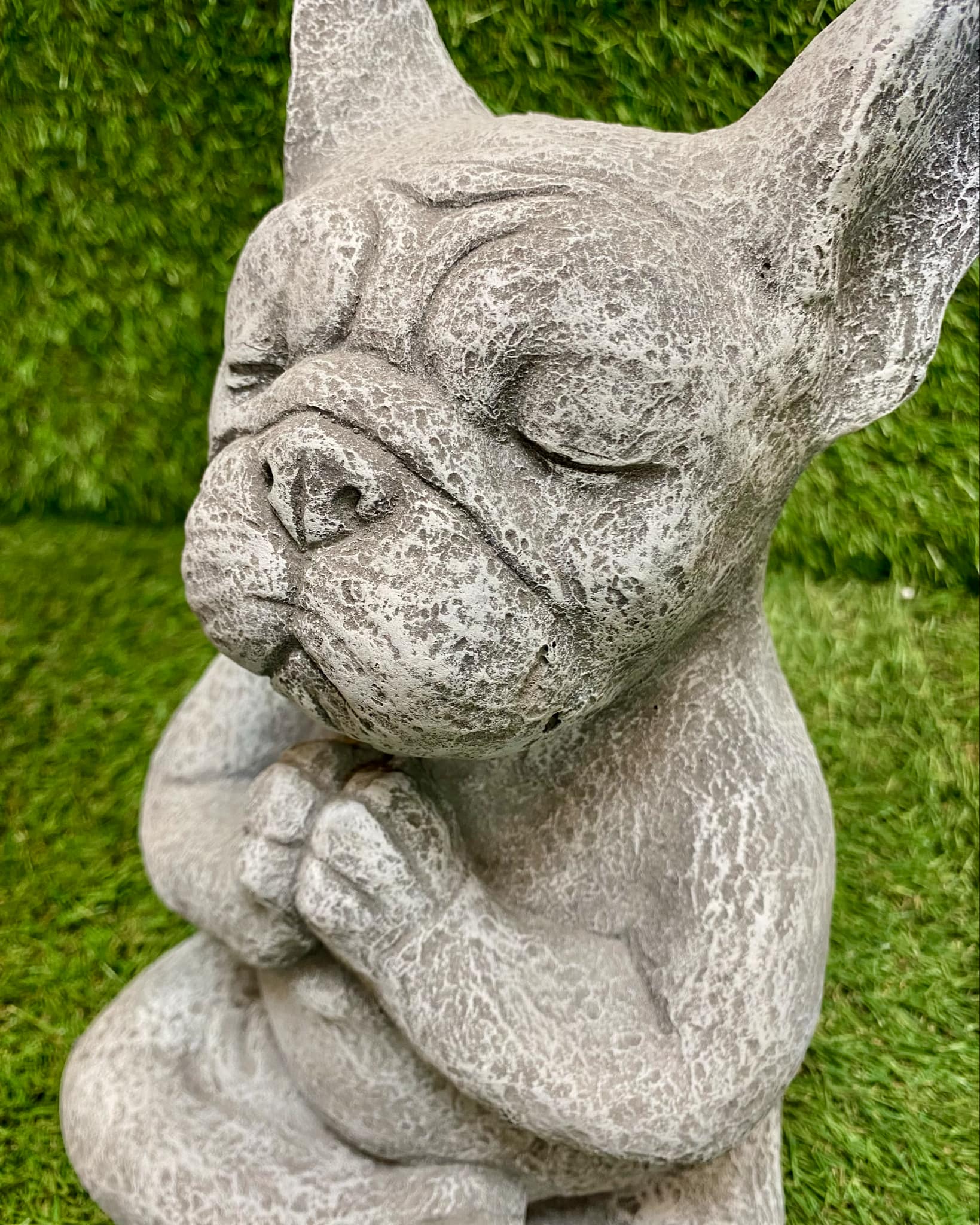 Yoga Meditating French Bulldog