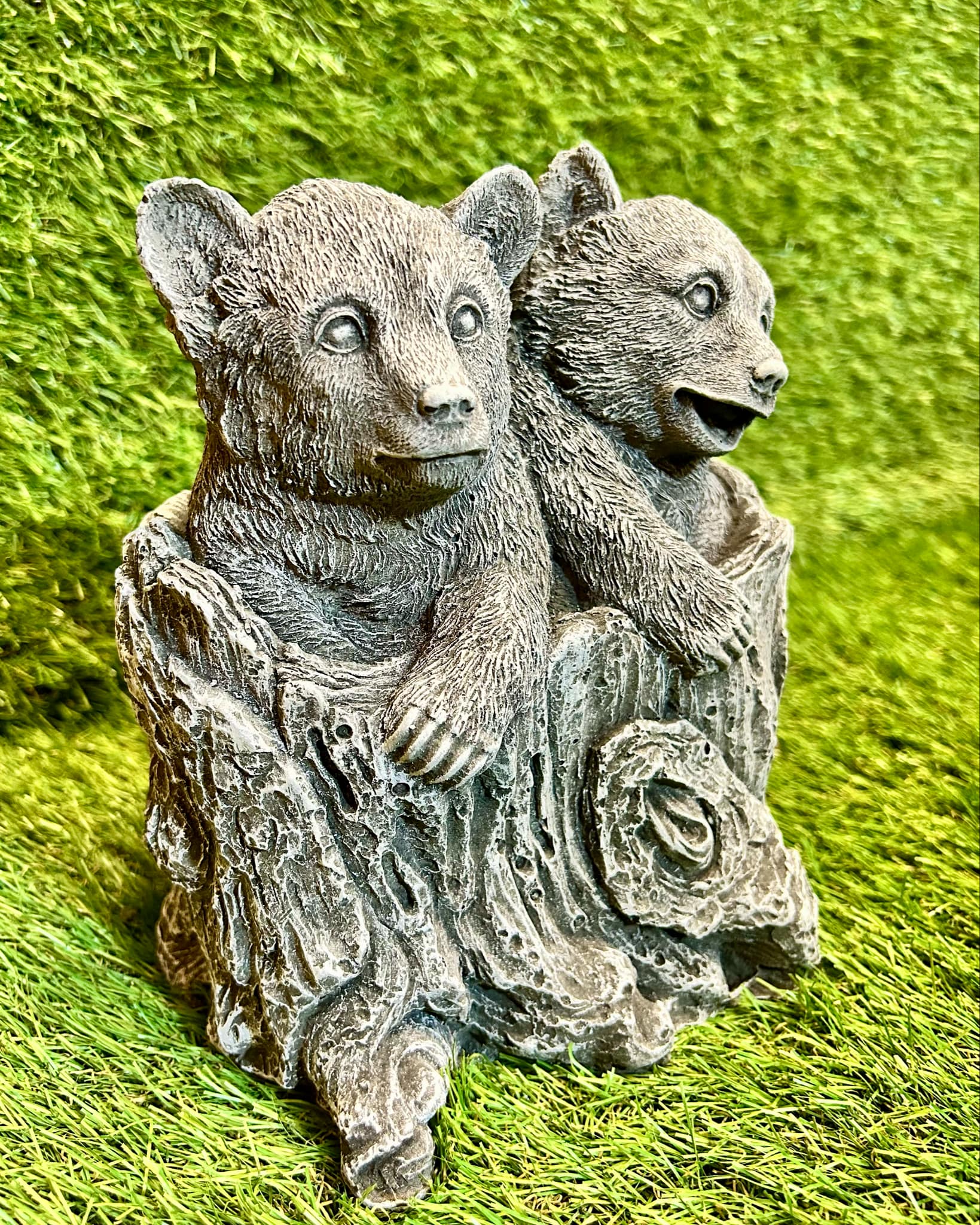 Two Baby Bears In Stump